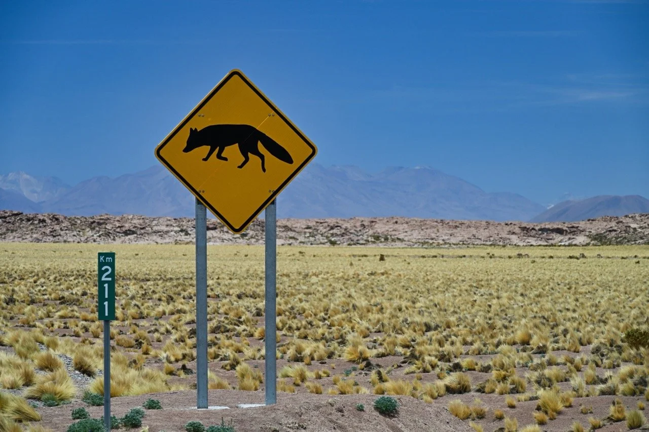  I haven't seen at Fox over here yet