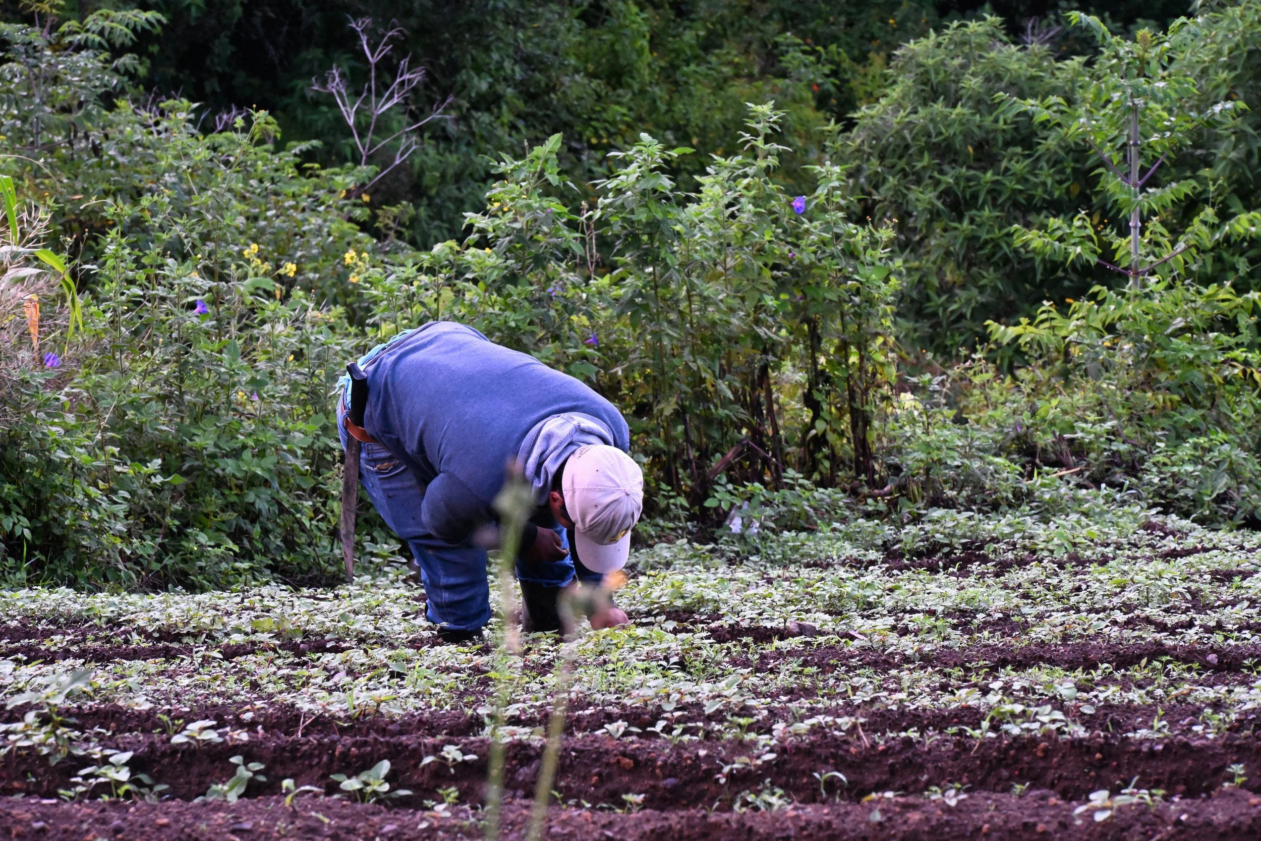 it doesn't show but this was STEEP