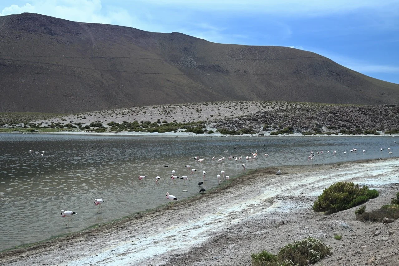  I am standing on the road and they're all right below me.