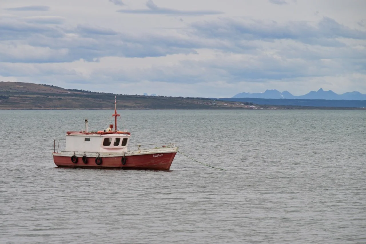  Sitting quietly in the bay