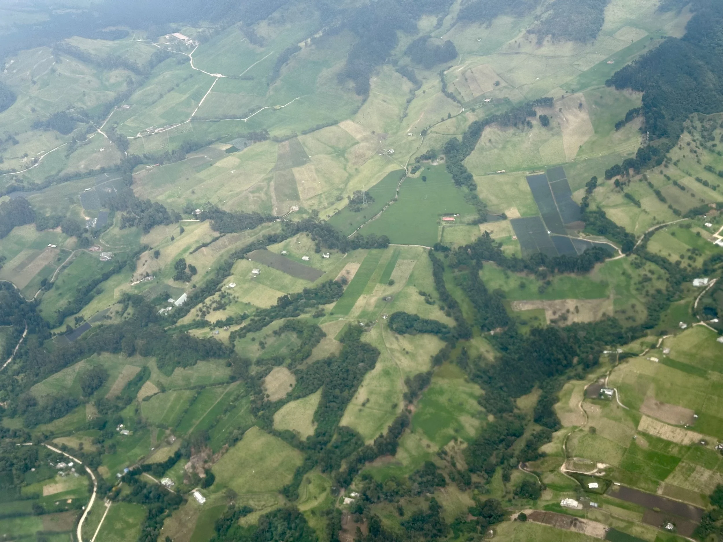 not the landscape I expected