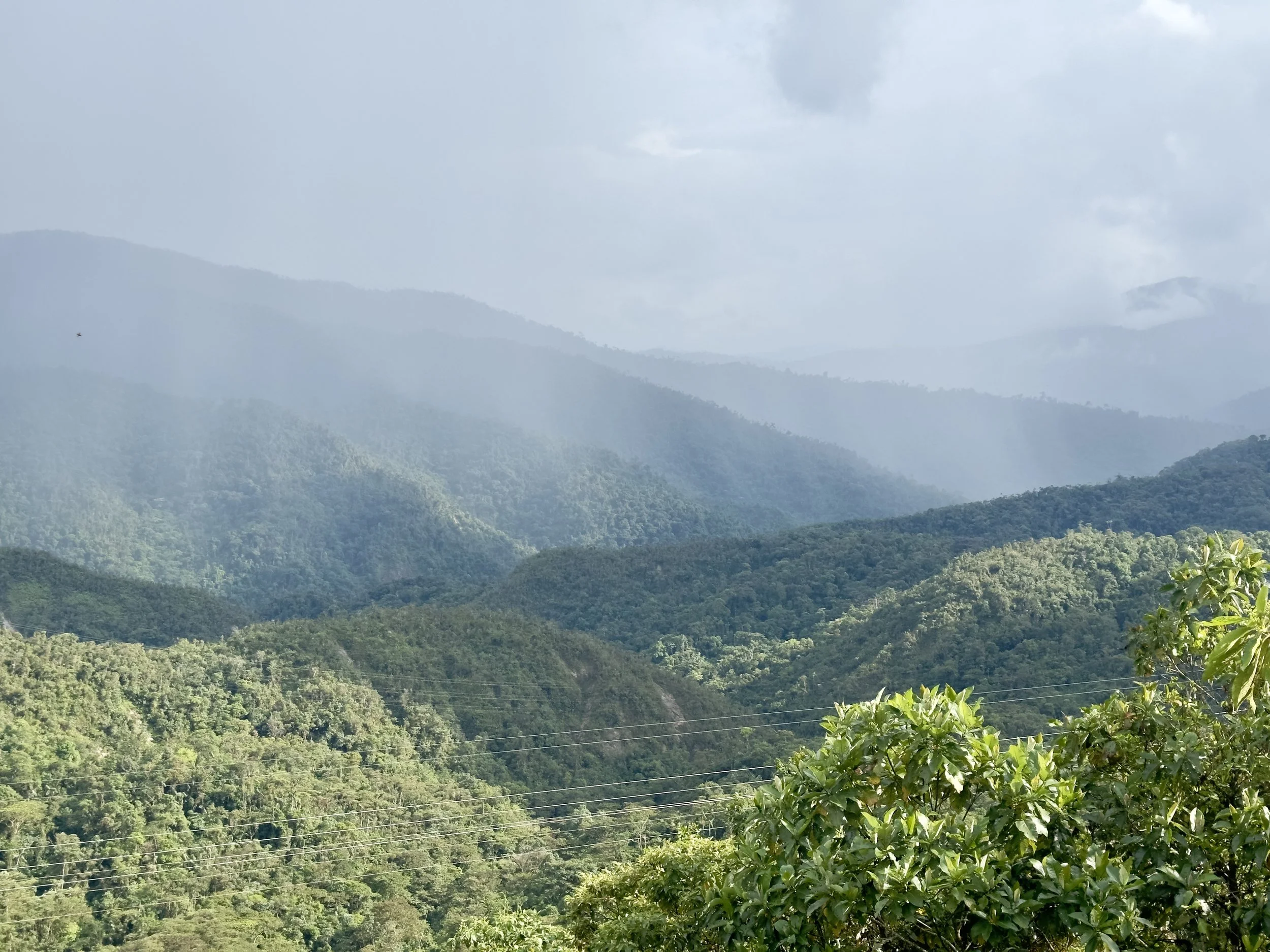 deep in the jungle again and deep into coca country