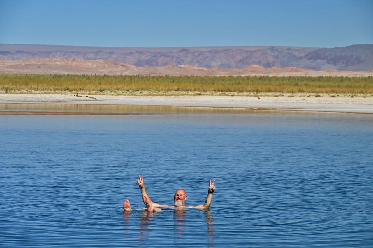 that's not a flamingo that's Terry floating around