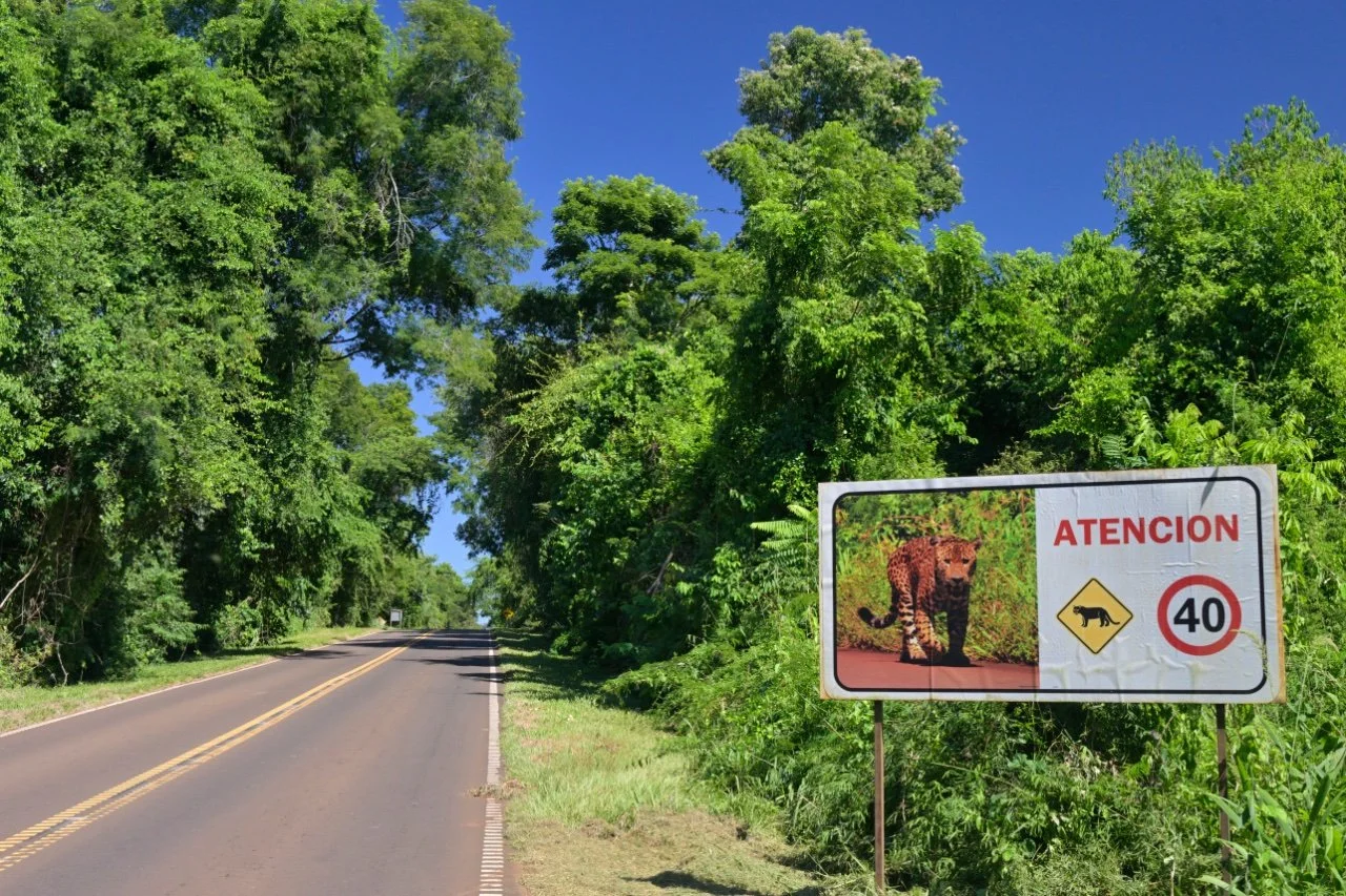 you don't see road signs like this too often. On the other hand, we have road signs warning about bears everywhere where I live