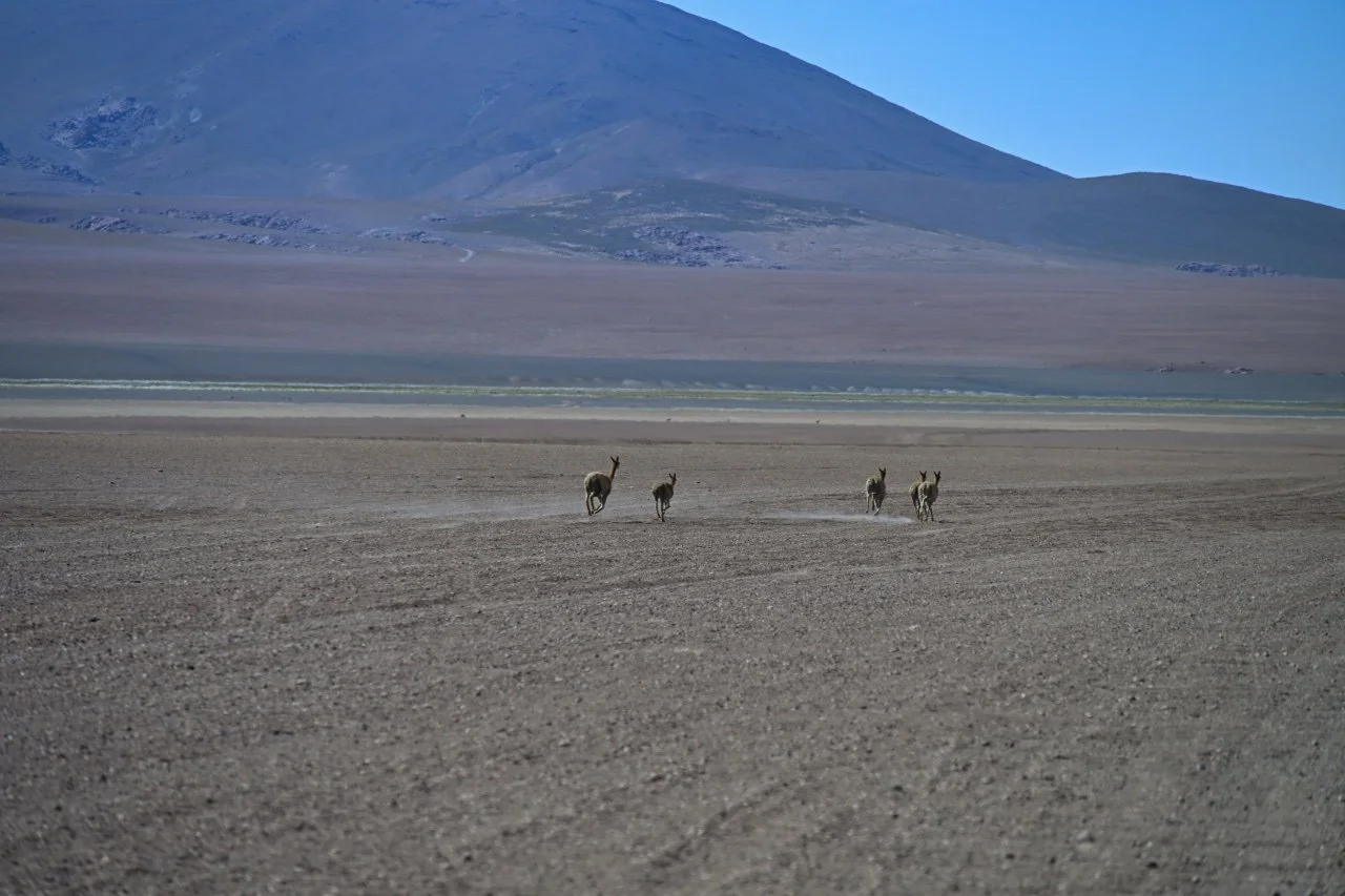  but they're pretty fast