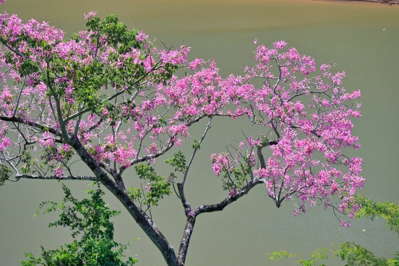  you can find some pretty corners