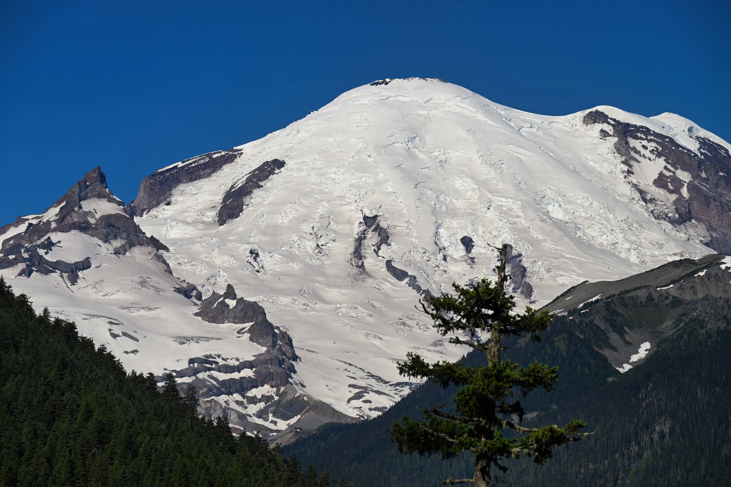 Mount Rainier, WA