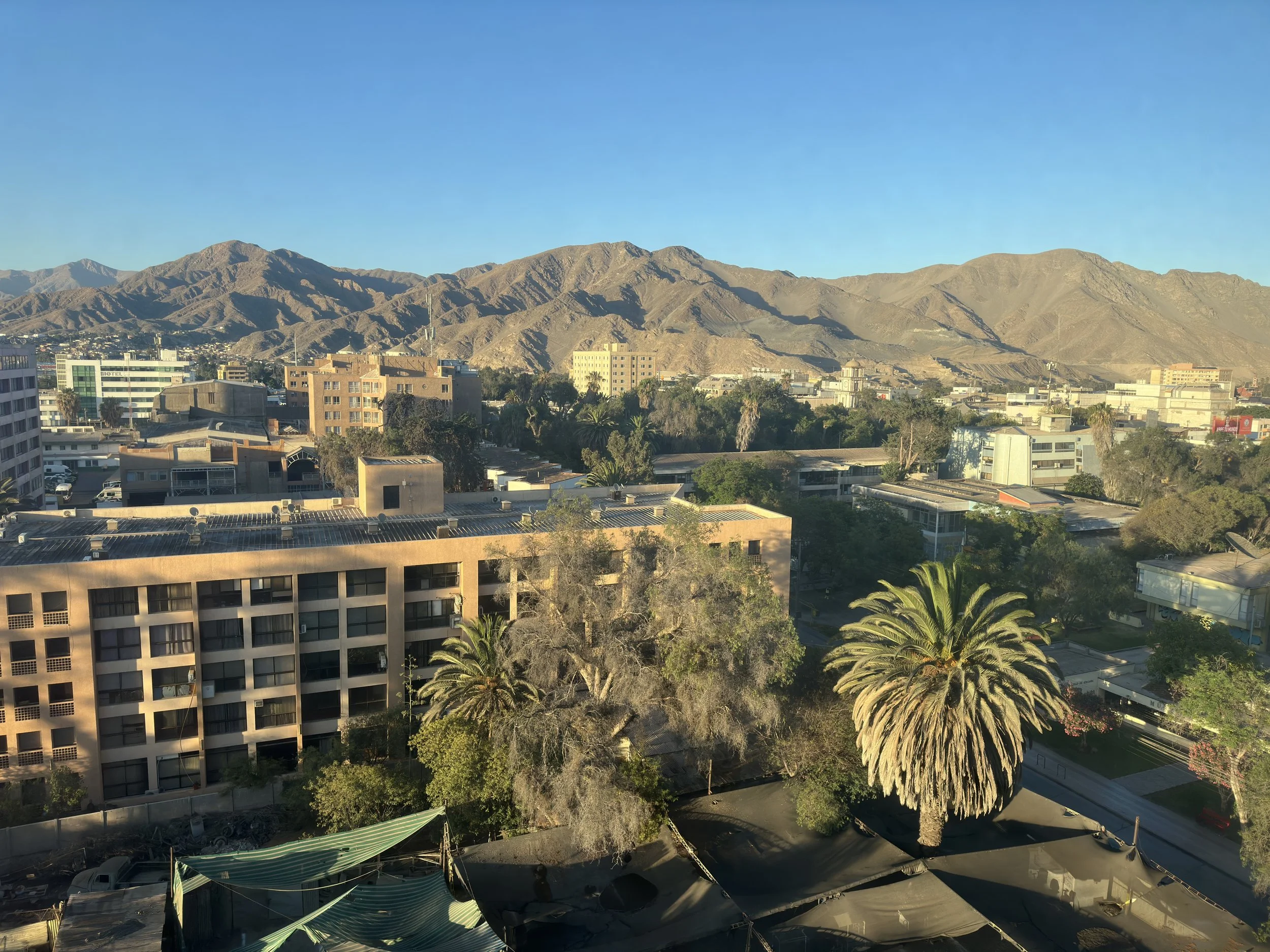  it is an oasis in the desert