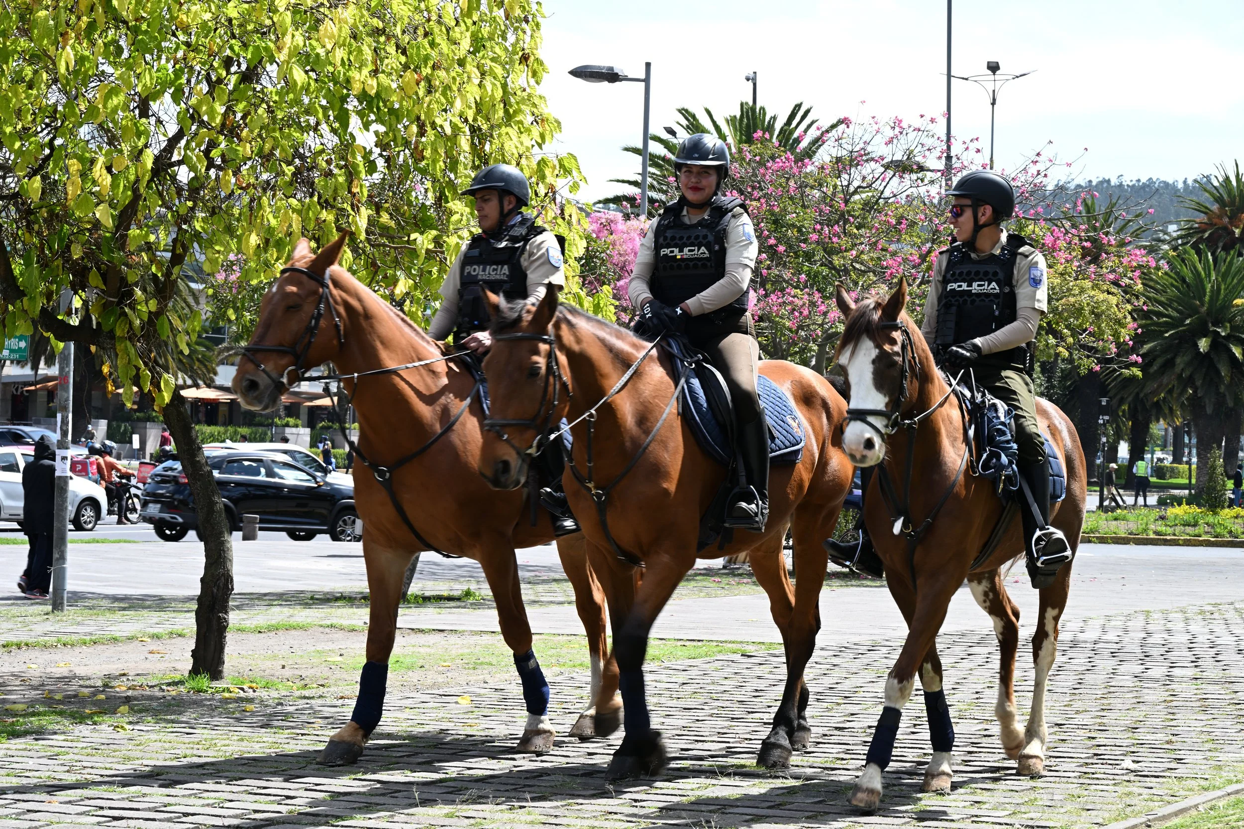 the guy on the right must be the most junior (smallest horse)