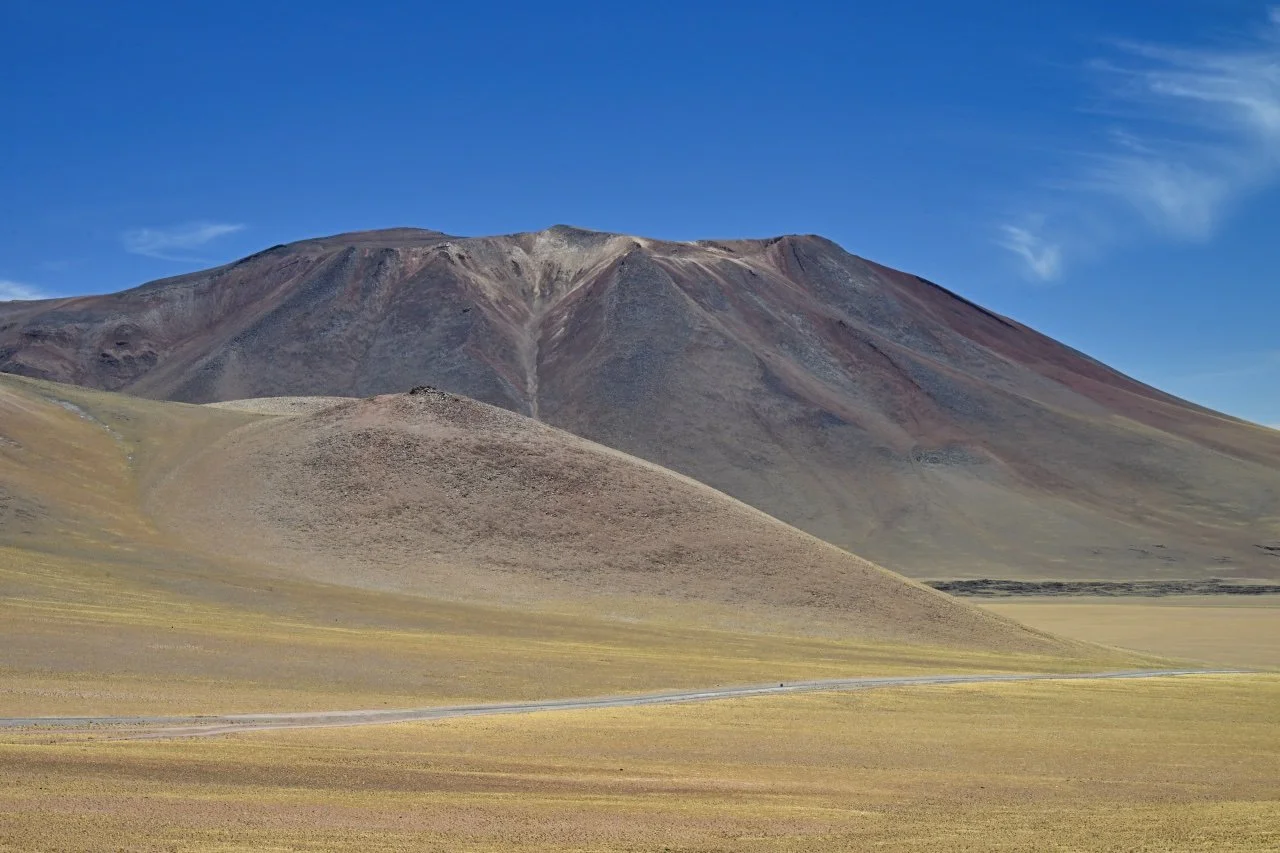  can you spot a rider in the picture?