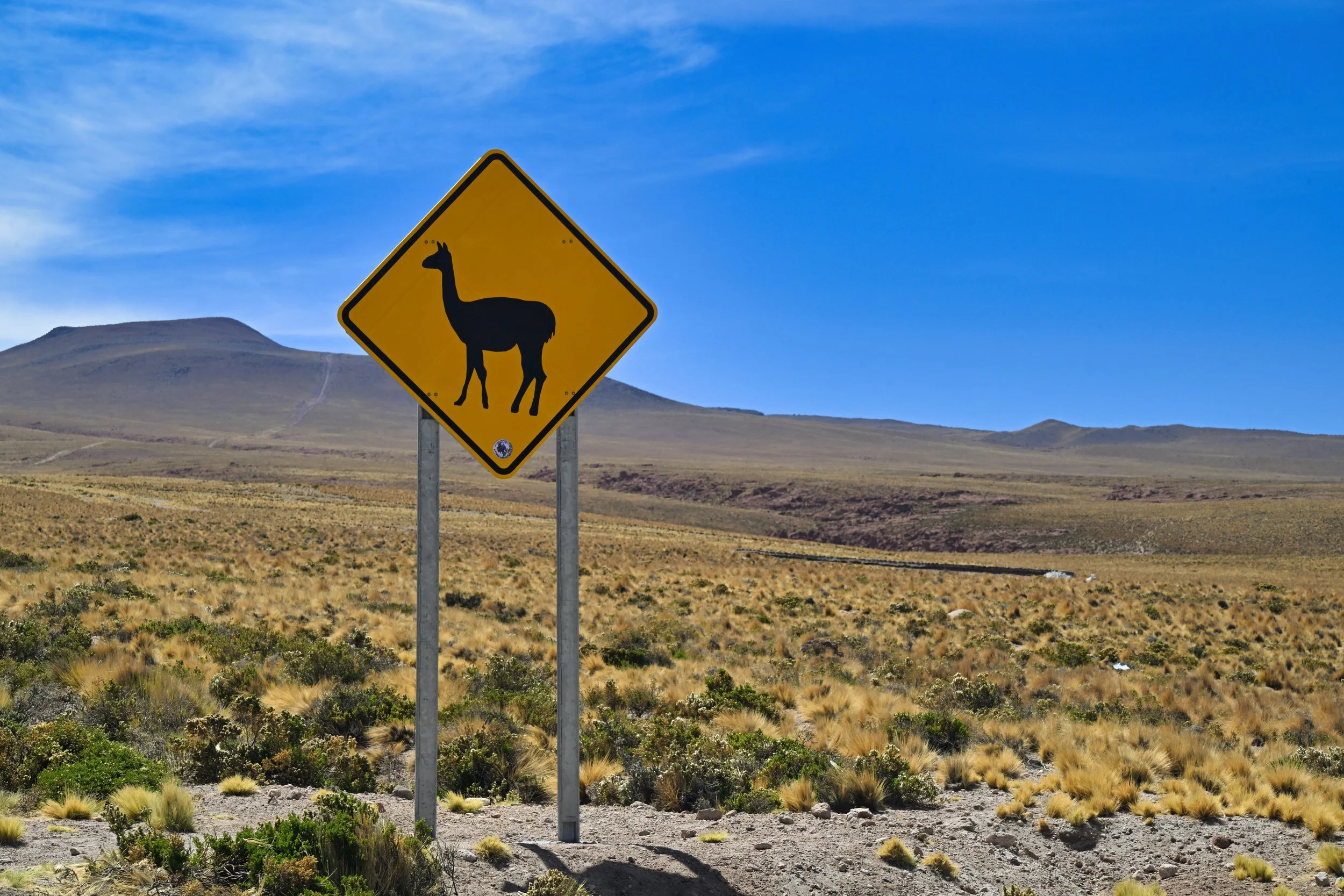 lots of those around, they are protected by law