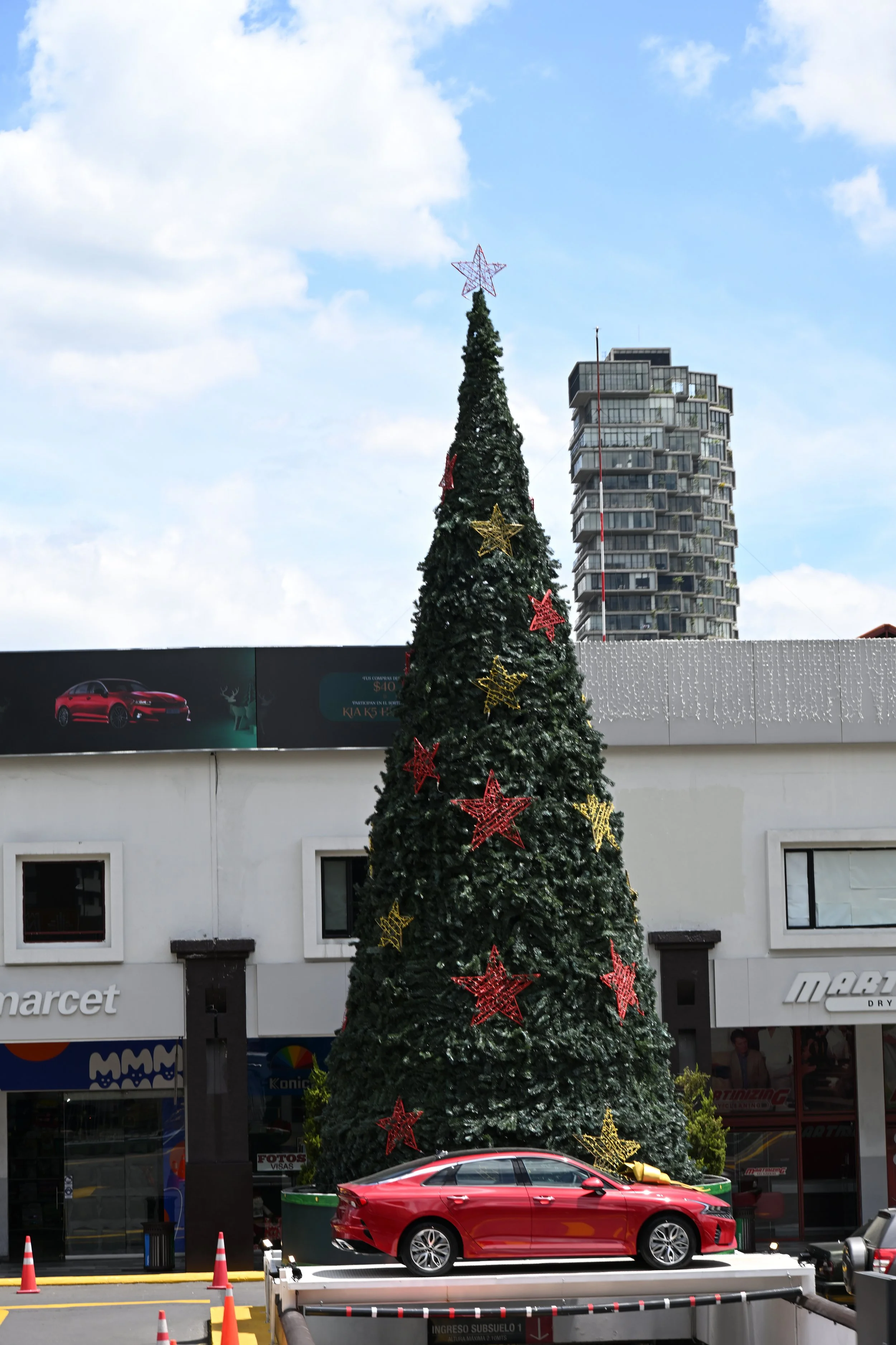 getting ready for Christmas