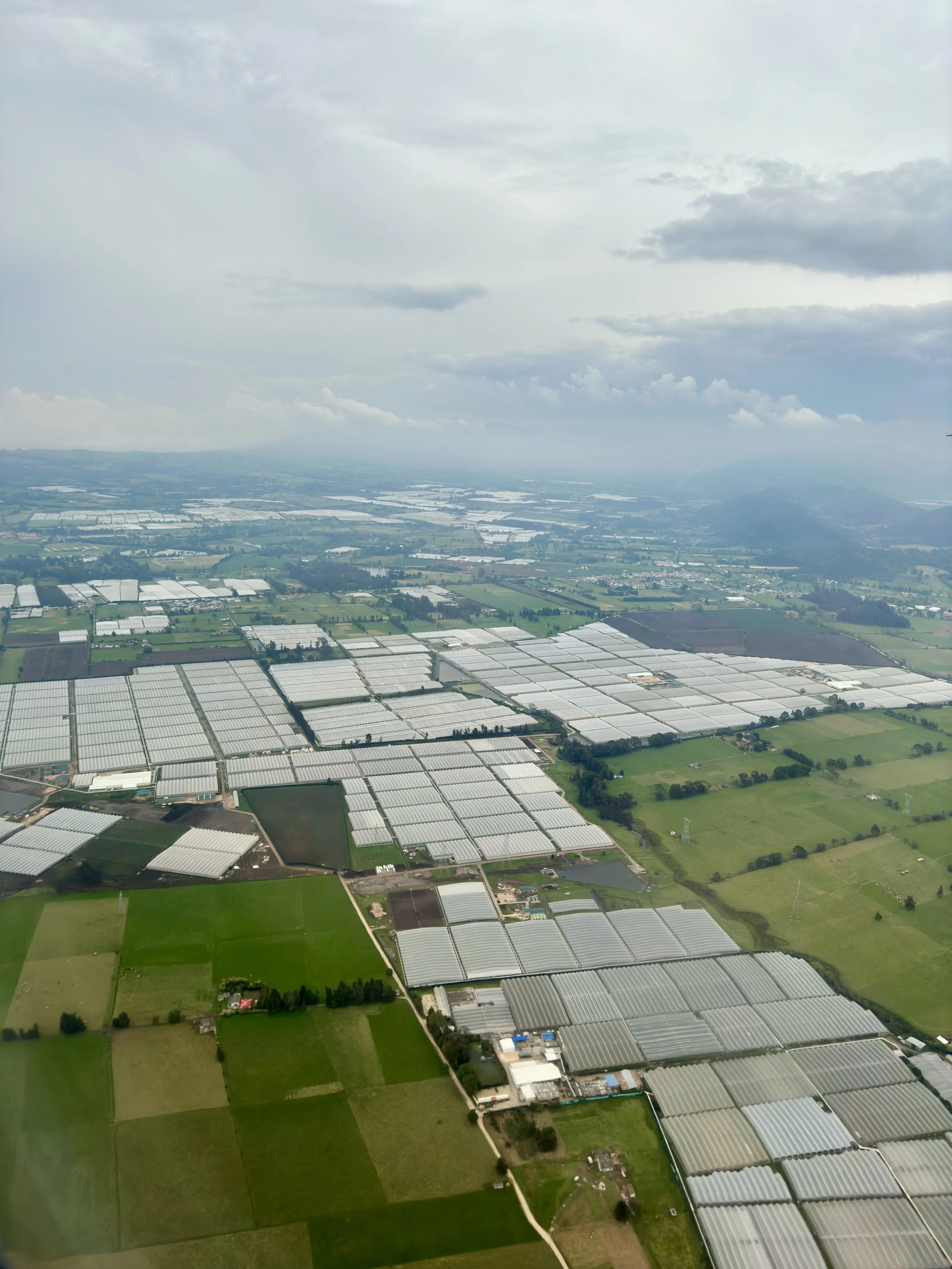 lots of greenhouses just like on the approach in Amsterdam
