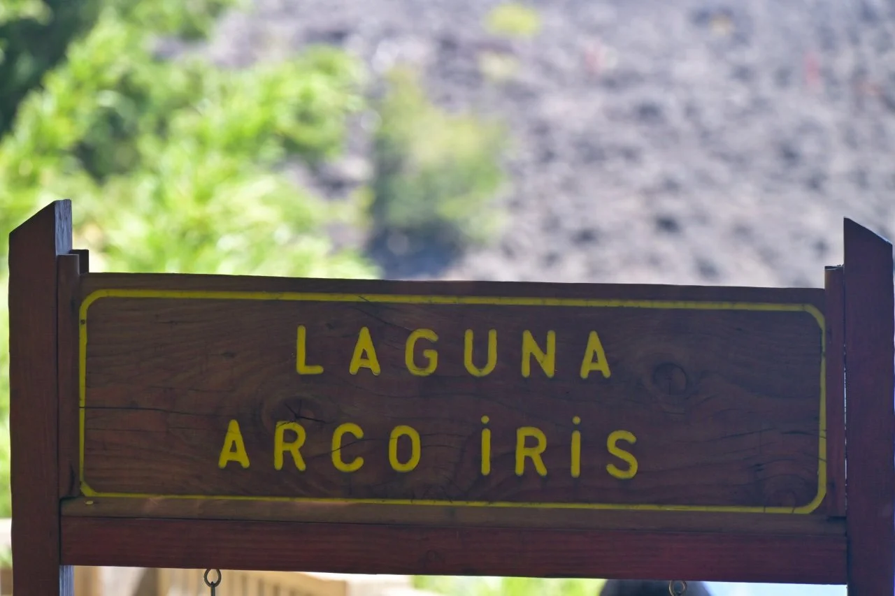  And this is its name.