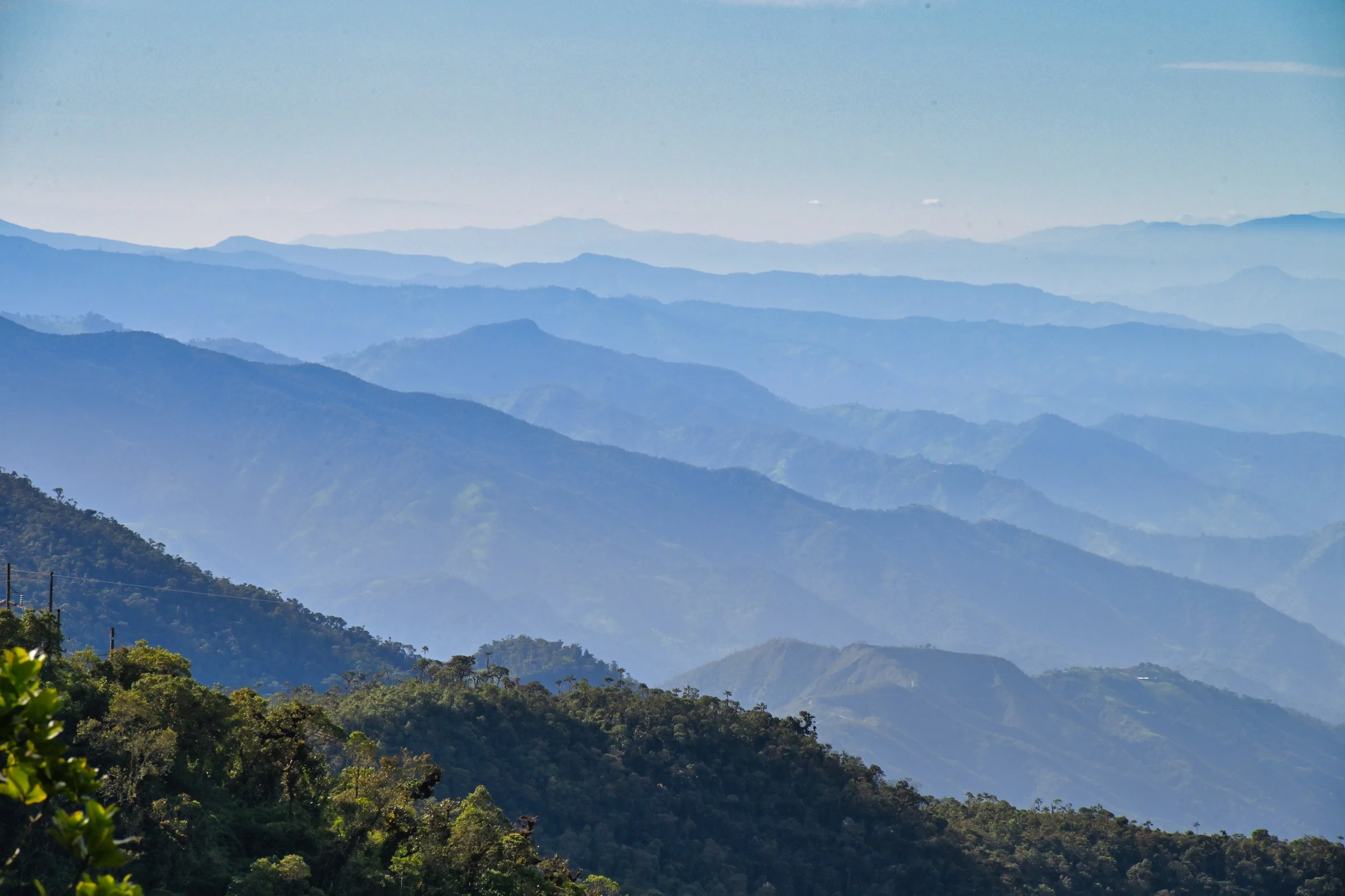 don't even want to count ...