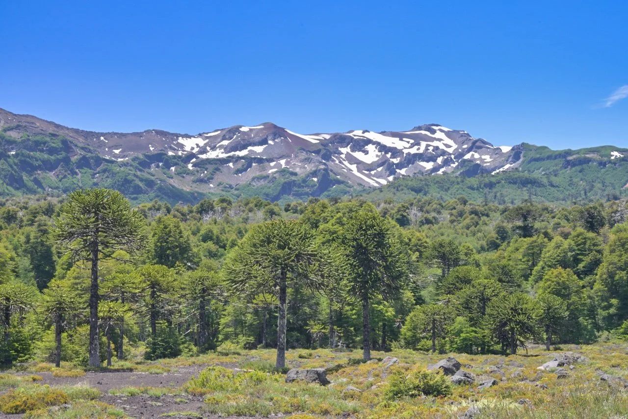  nice rides along the route