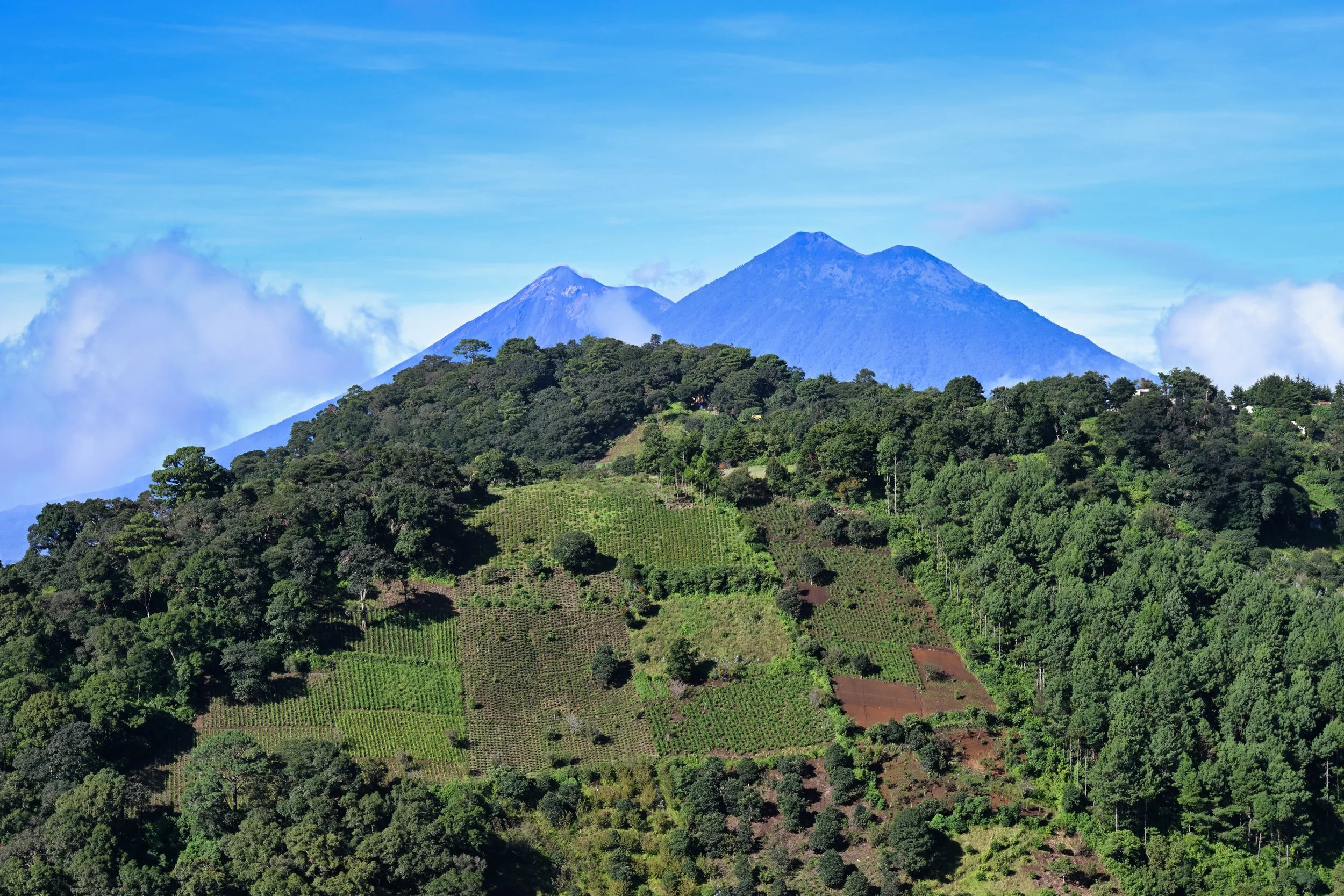 no tractors here, all hand made