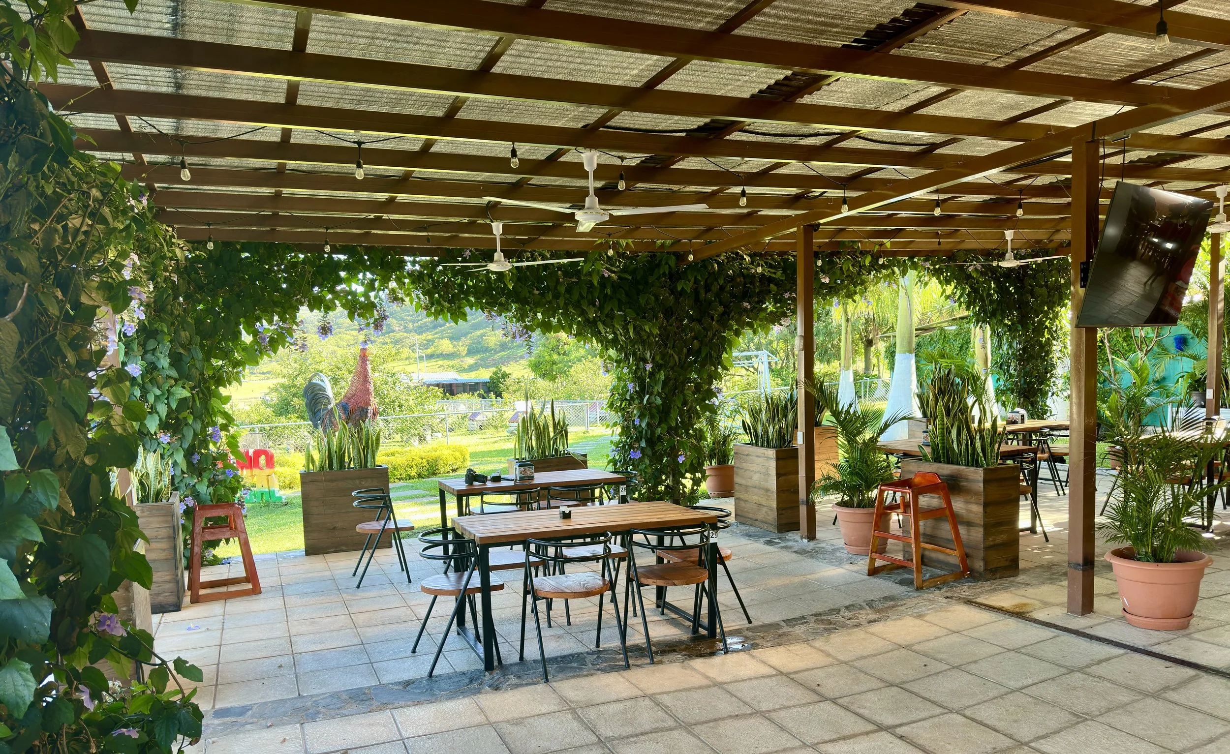 morning at the ranch