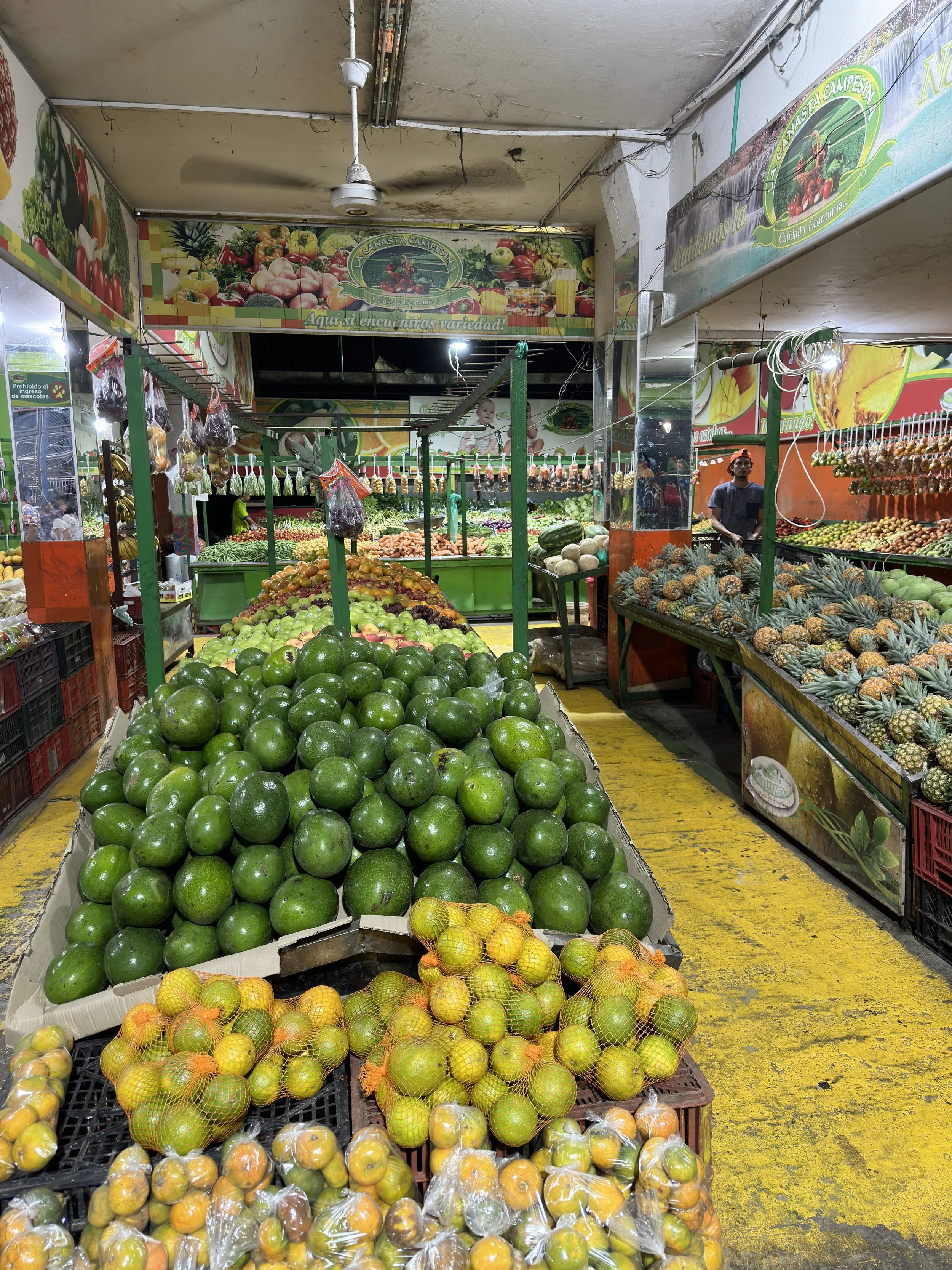 fresh fruits & veggies