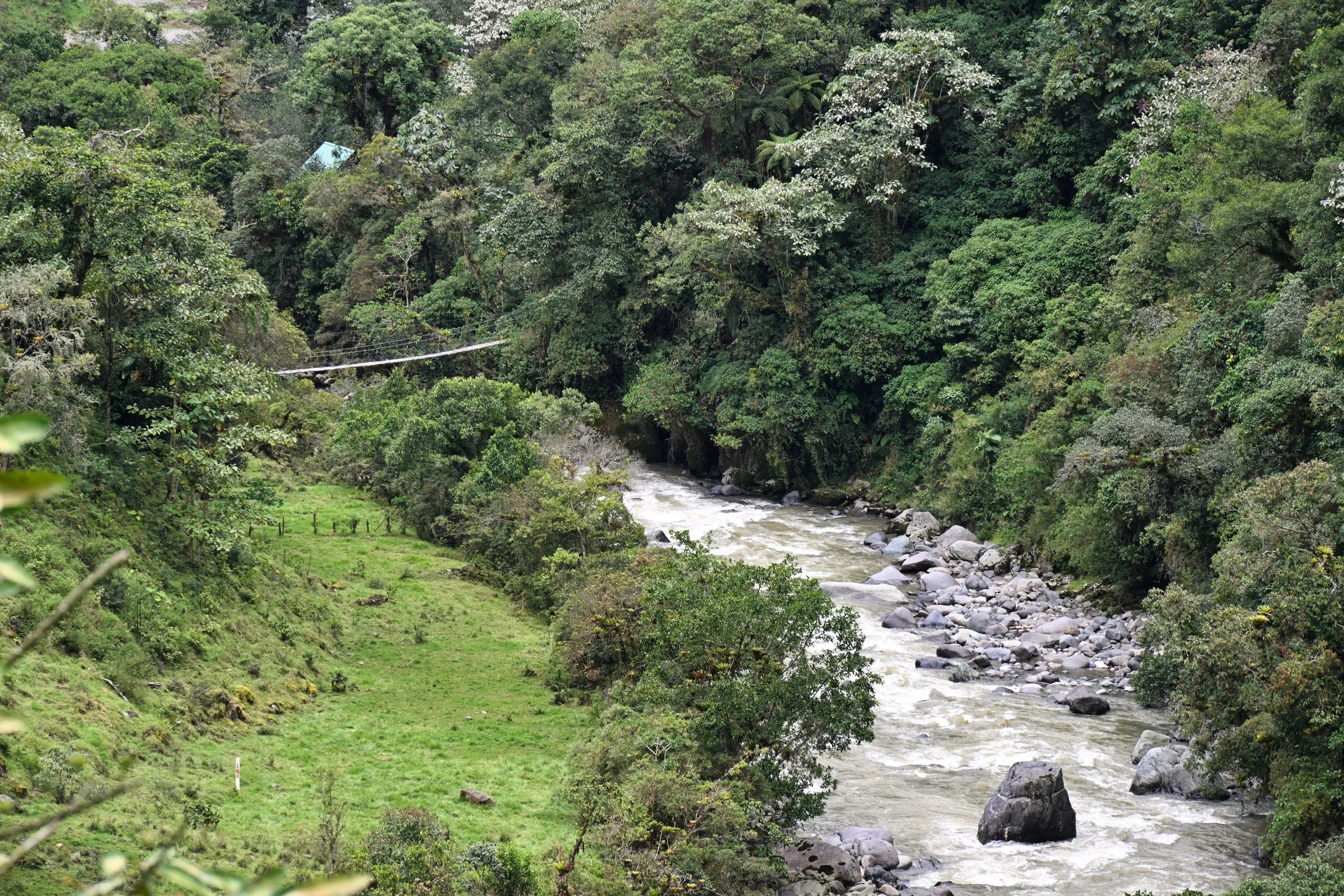 this looks pretty wild