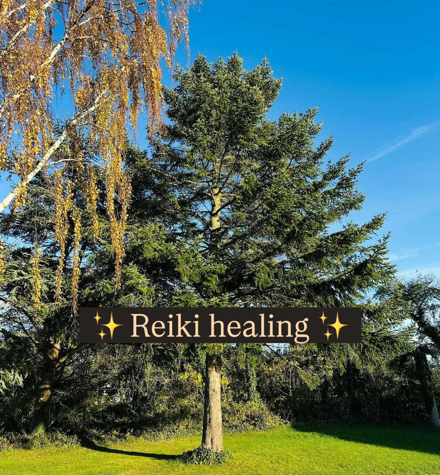 Jeg har &aring;bnet op for en ny gren af mit arbejde - Reiki Healing. En blid, energetisk behandlingsform, der st&oslash;tter kroppen helt ind p&aring; celleniveau i at finde tilbage i balance.

Reiki er er en n&aelig;nsom m&aring;de at skabe forandr