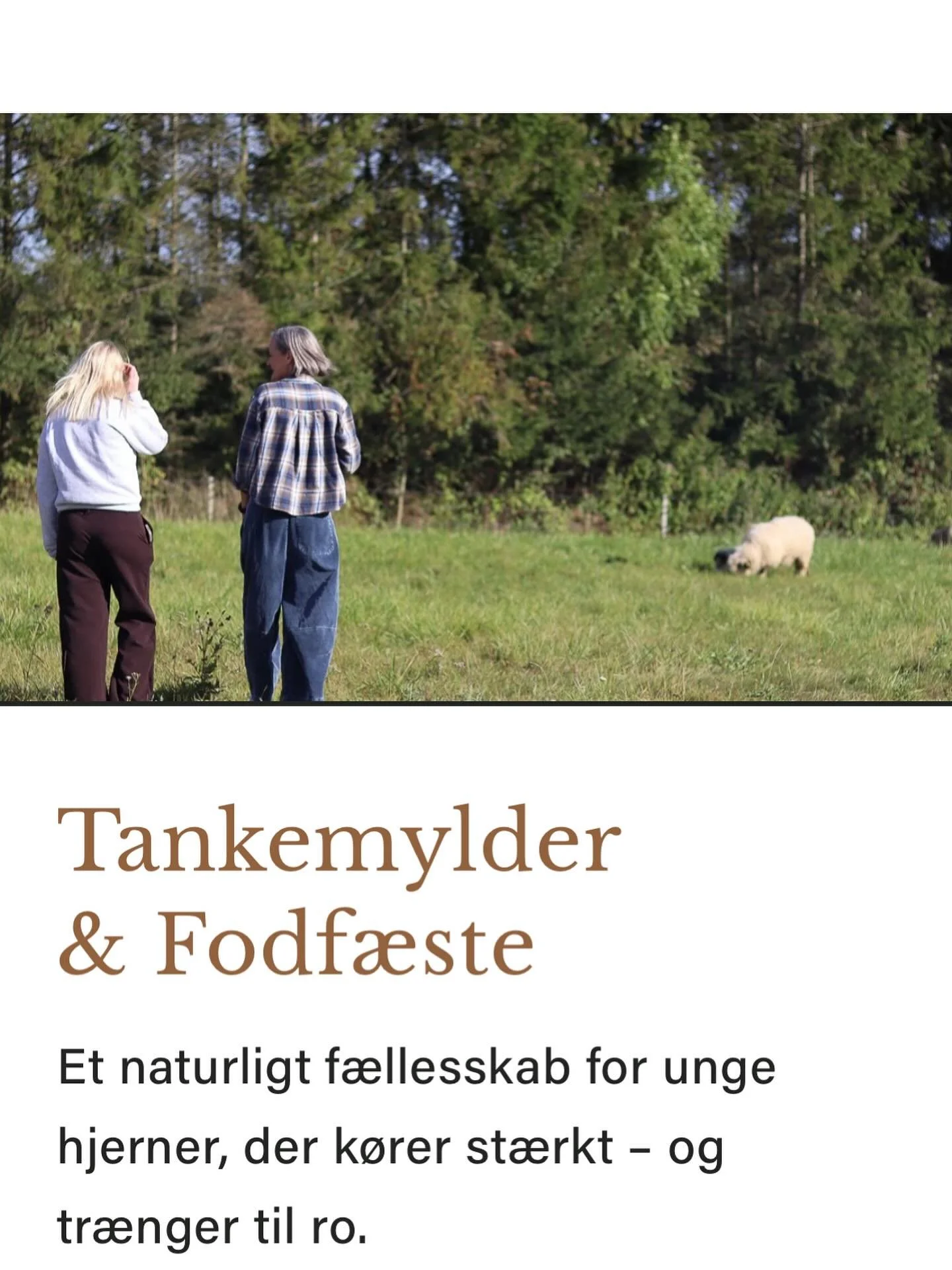 Mit ungeforl&oslash;b er endelig en realitet! Vi starter i januar - skal du med?
.
.
#unge #ungemeddiagnoser #trivsel #ADHD #autisme #asbergers #naturterapi #pelsterapi