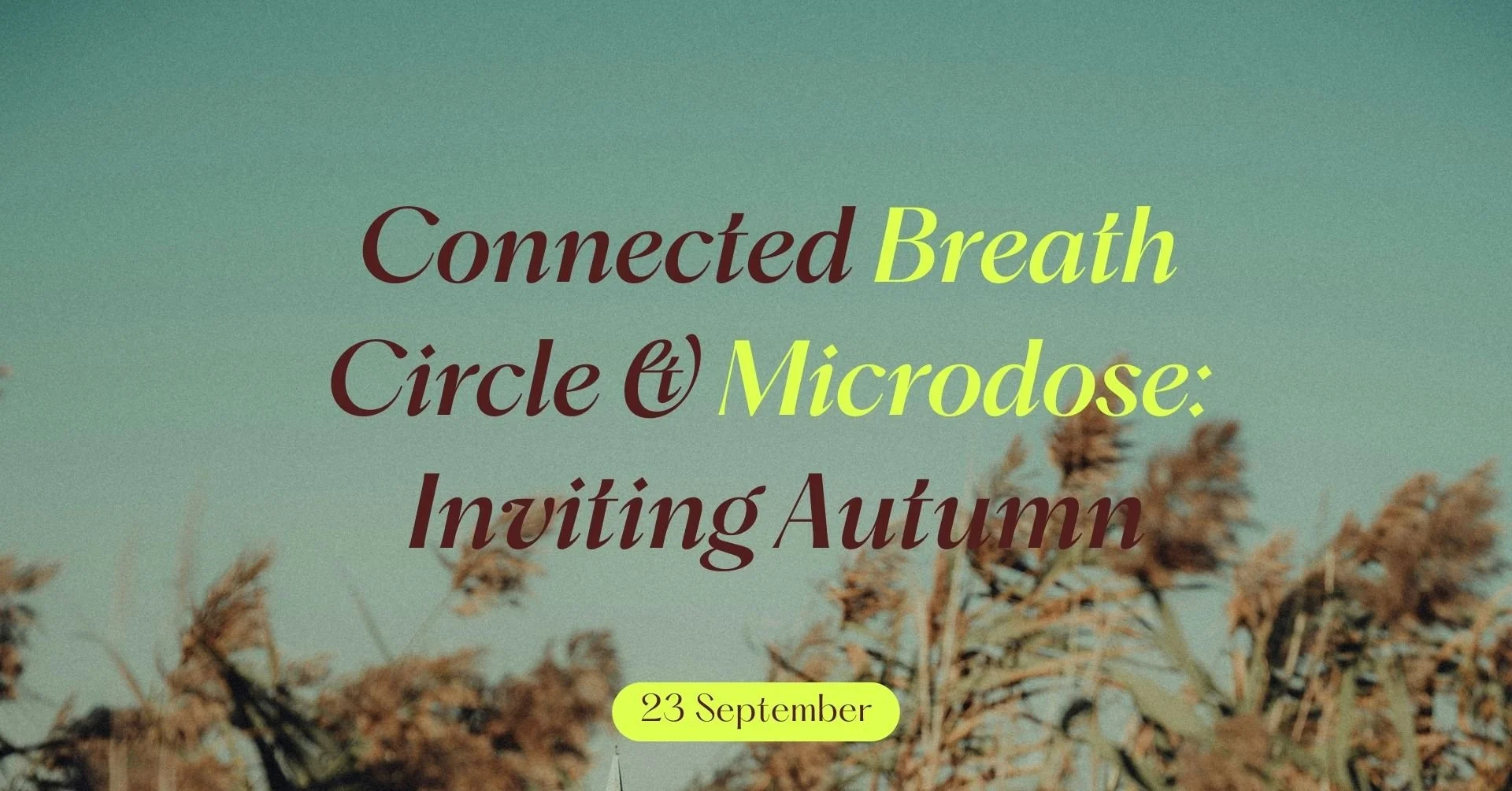 Connected Breath Circle & Microdose: Inviting Autumn