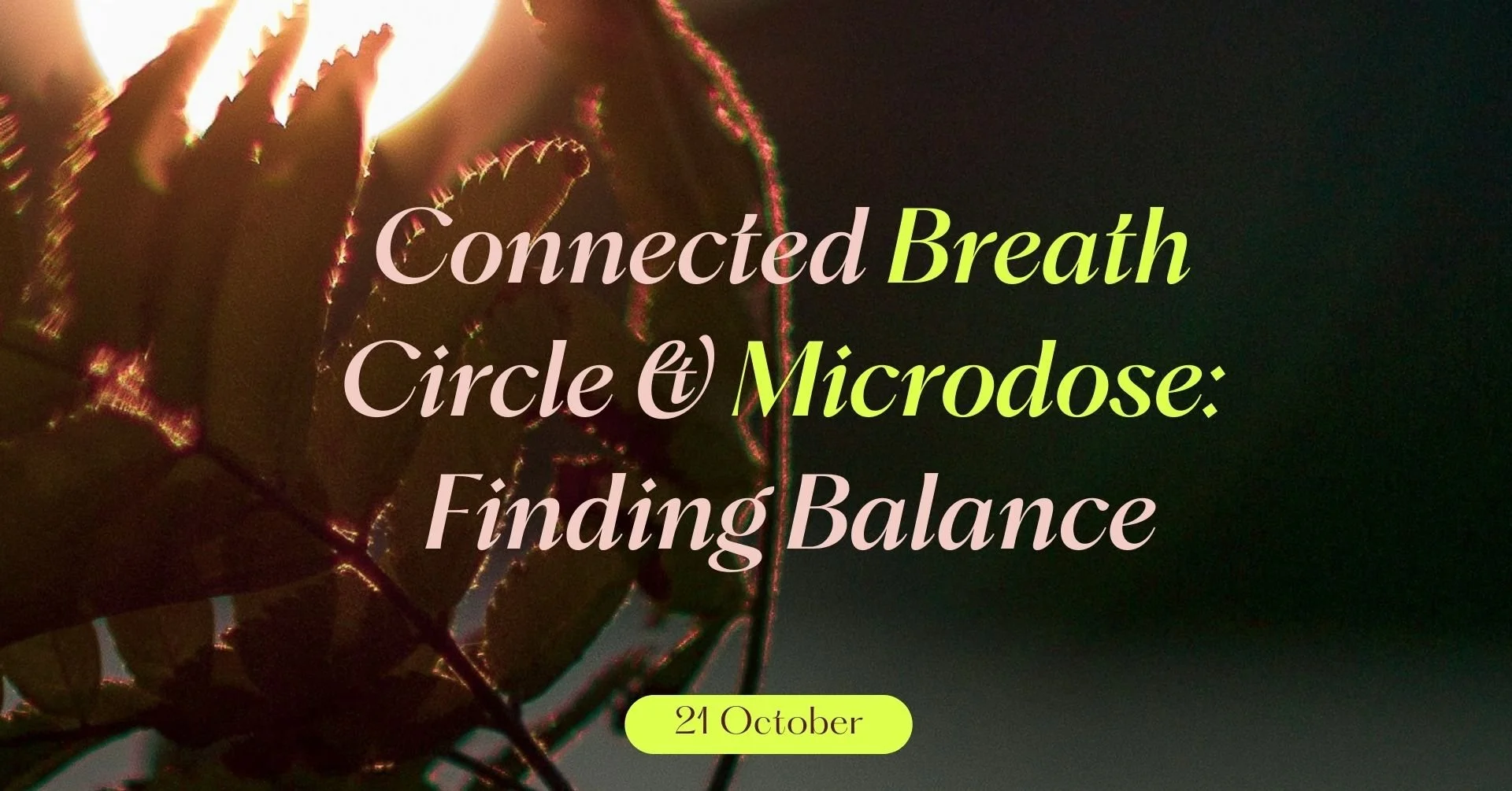 Connected Breath Circle & Microdose: Finding Balance