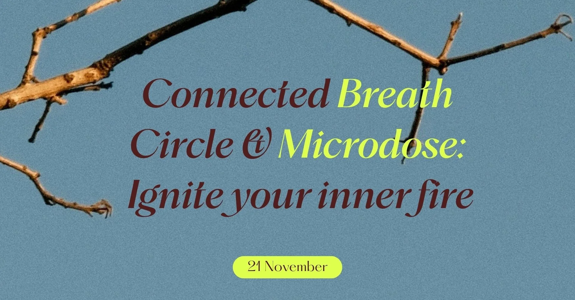 Connected Breath Circle & Microdose: Ignite your Inner Fire