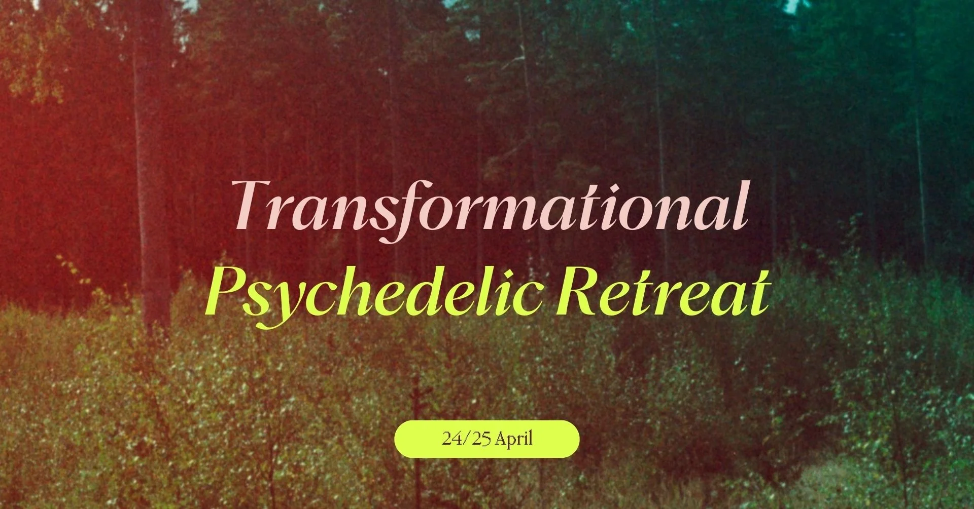 Transformational 24-hour Psychedelic Retreat