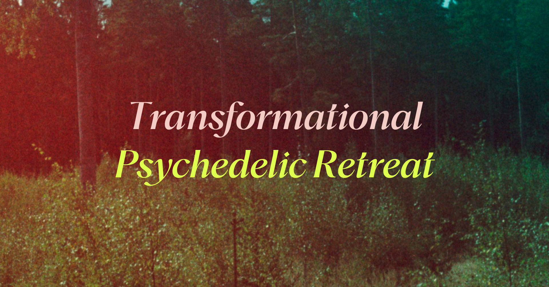 Transformational 24-hour Psychedelic Retreat