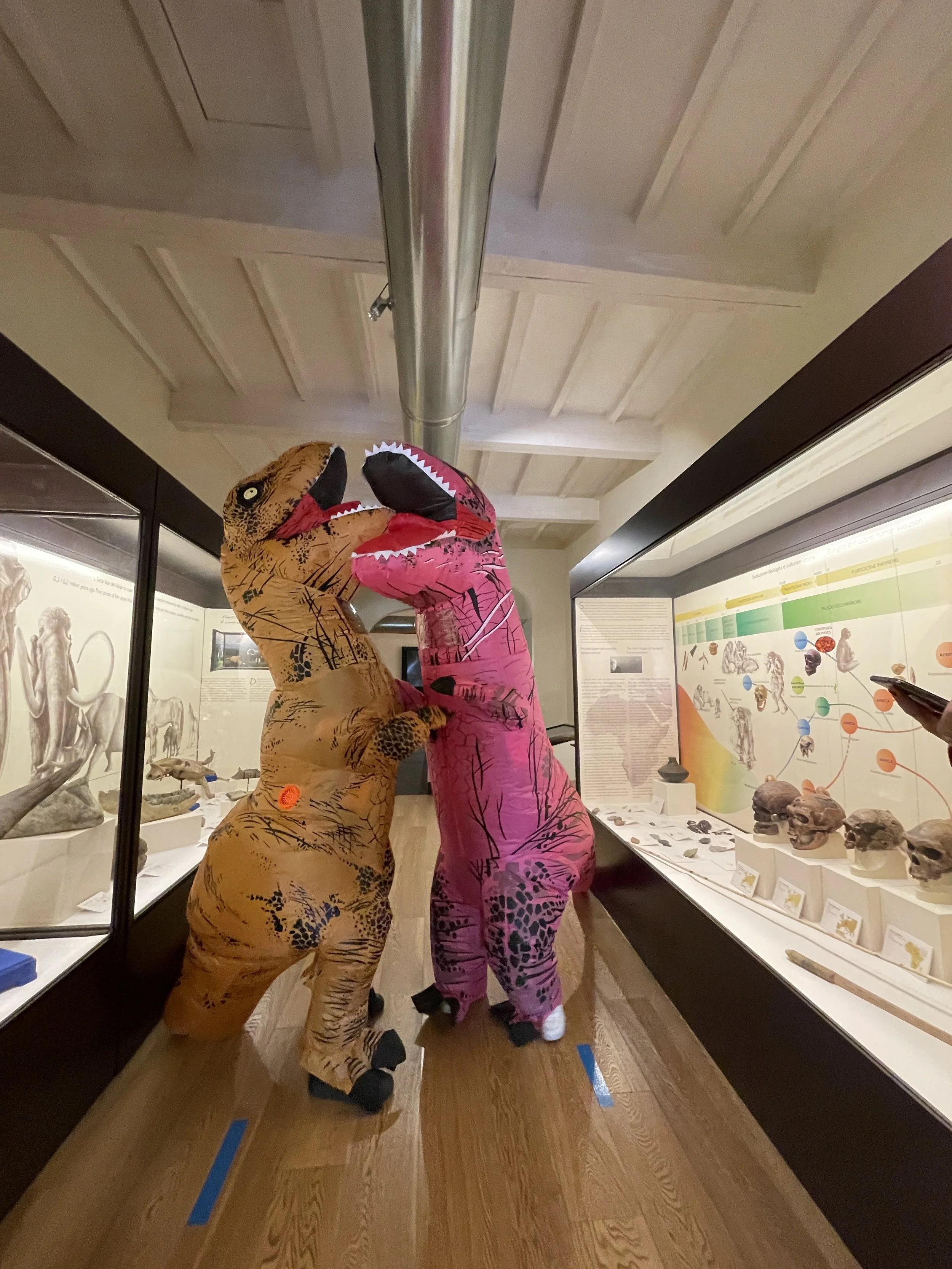 Direzione progetto Digital Ambassador