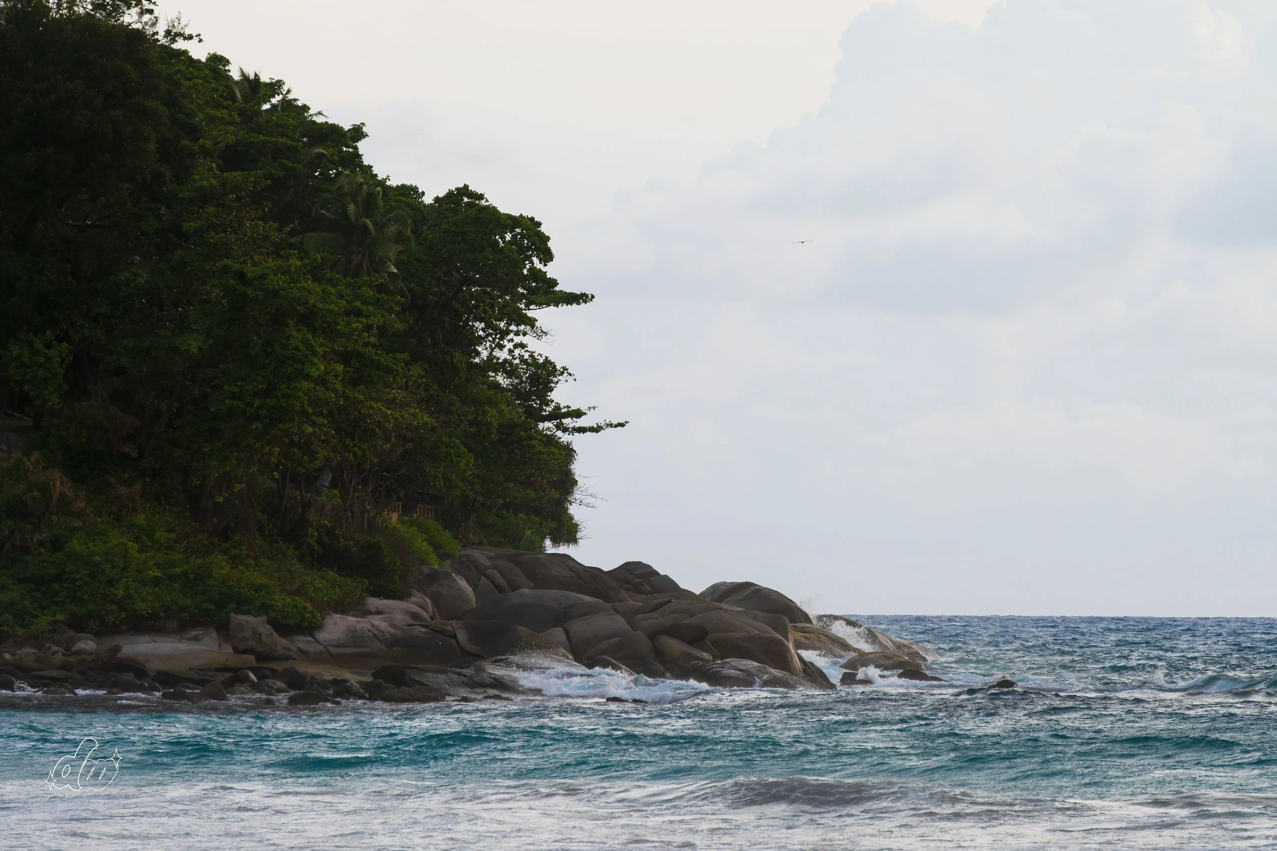 DSC_6896-1.jpg