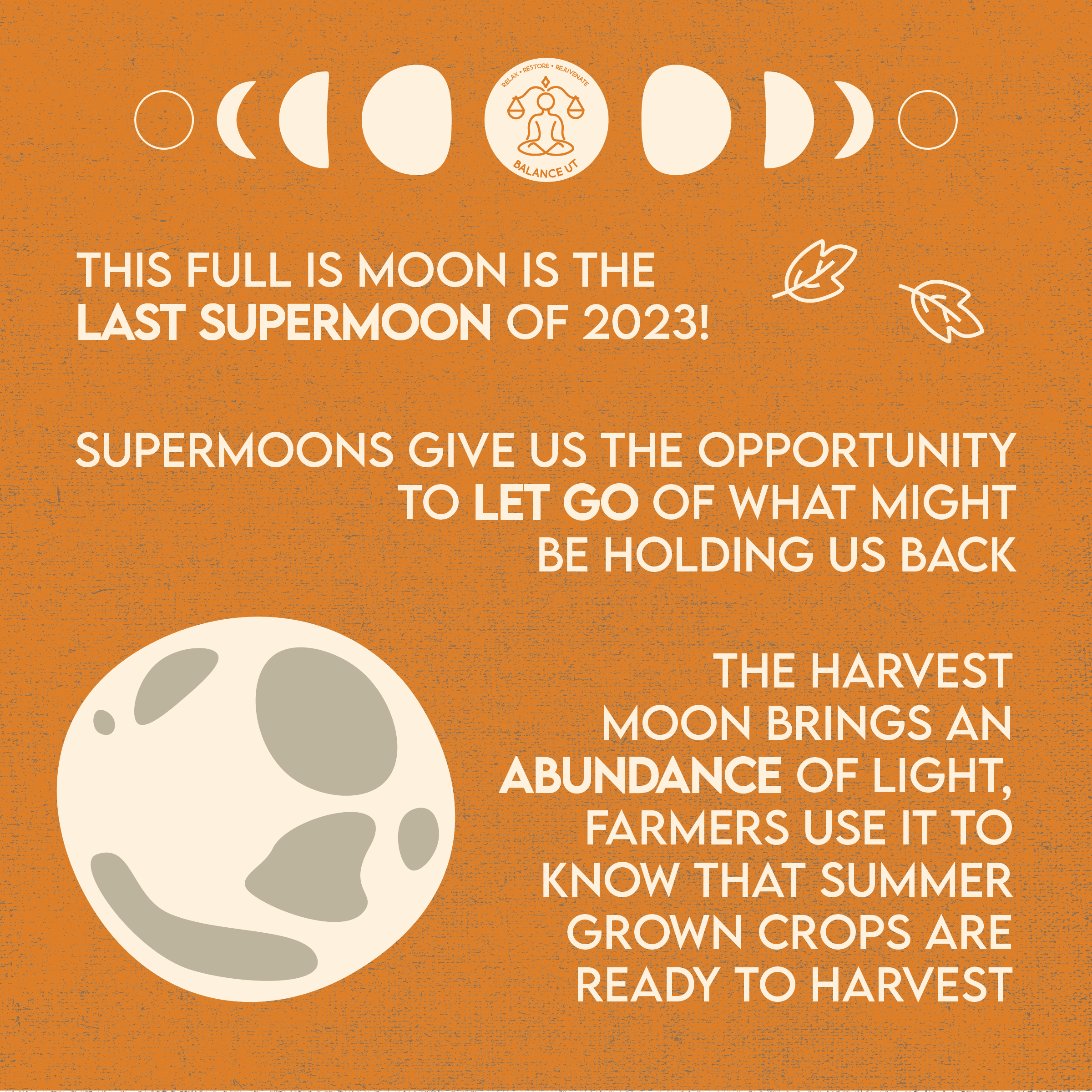 harvest moon-02.png