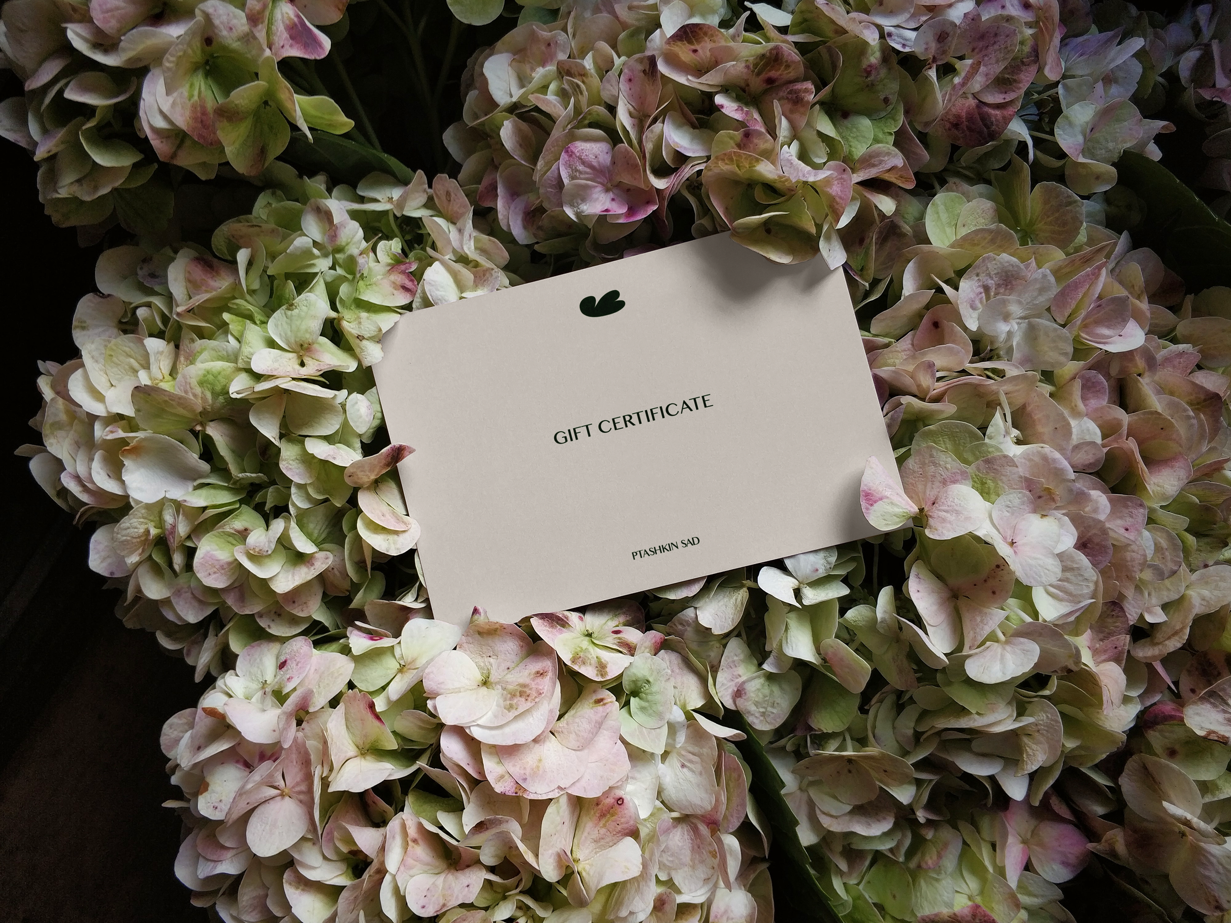 Gift Certificate Design