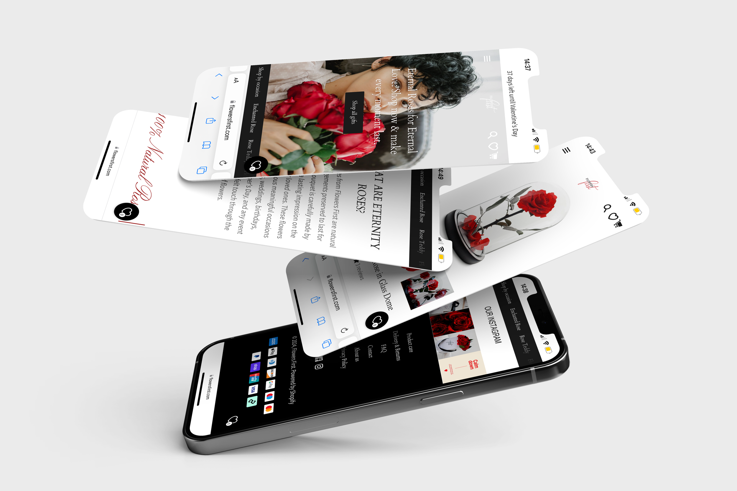 Website Design (Shopify)
