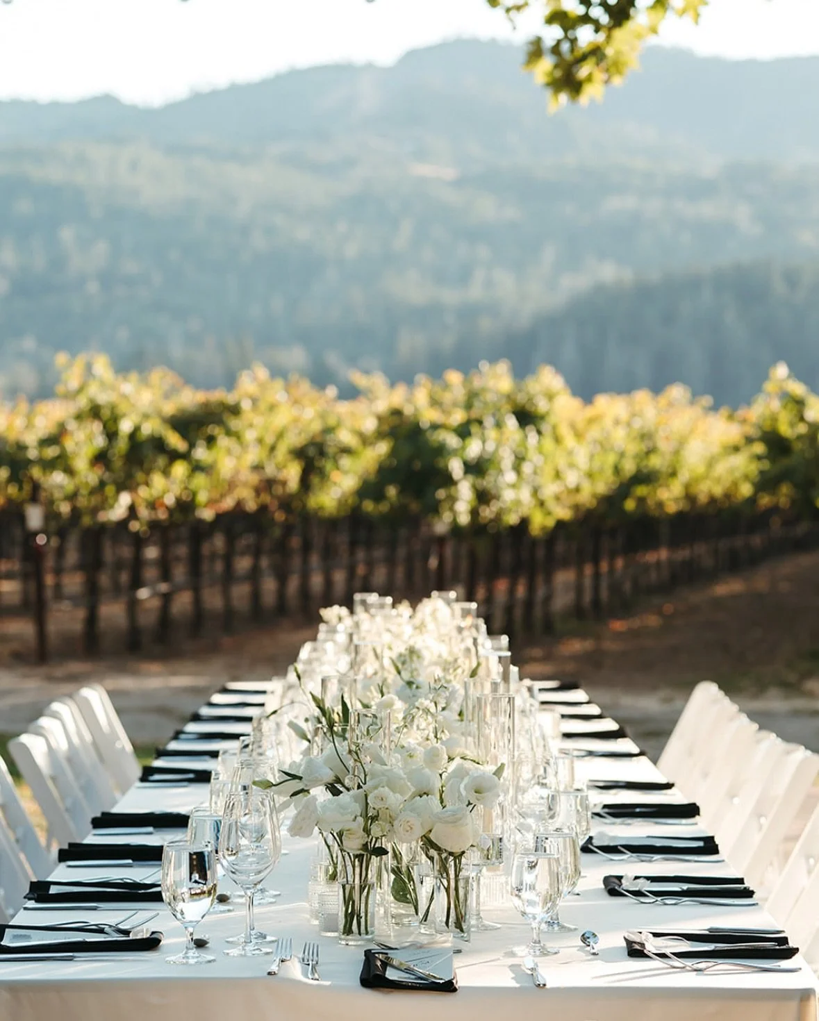 The perfect reception setting and backdrop for an intimate wedding in the heart of Napa Valley. We loved every angle of this royal table setting we set for Tiana and Michael&rsquo;s wedding at the start of harvest season.
&mdash;&mdash;&mdash;
📷 @mo