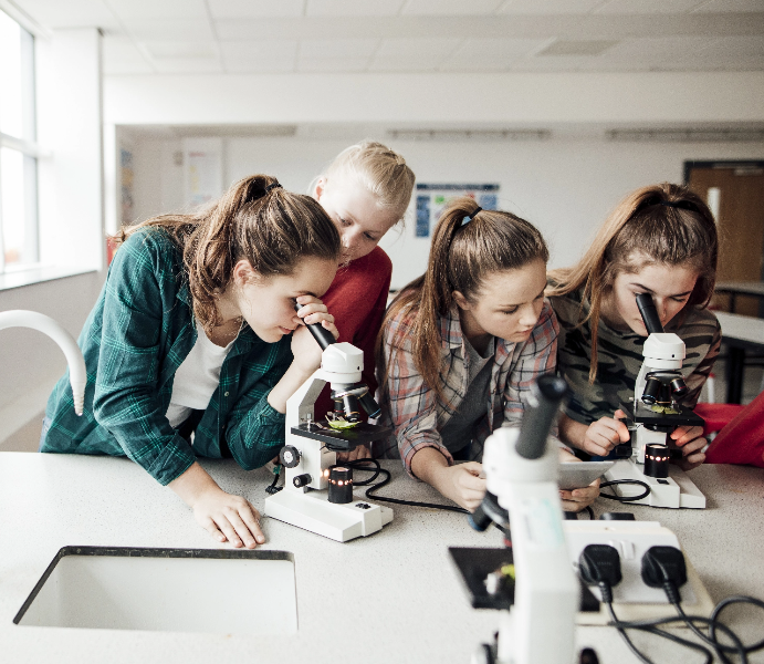 Talent Identification & Development (Talent ID) — IVY Gurukul