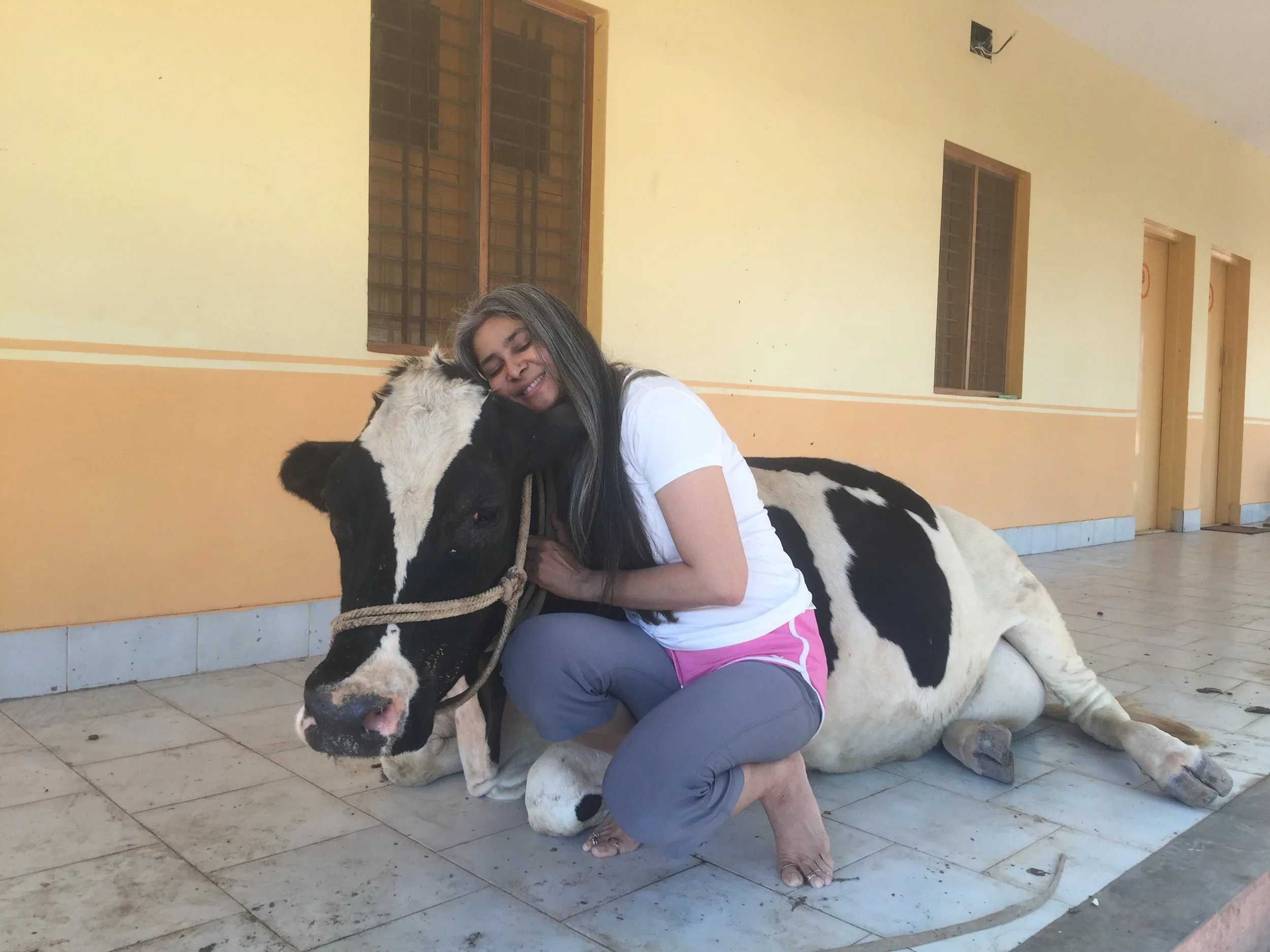 A woman with long hair hugging a cow that is lying on a tiled floor in a corridor with yellow walls.