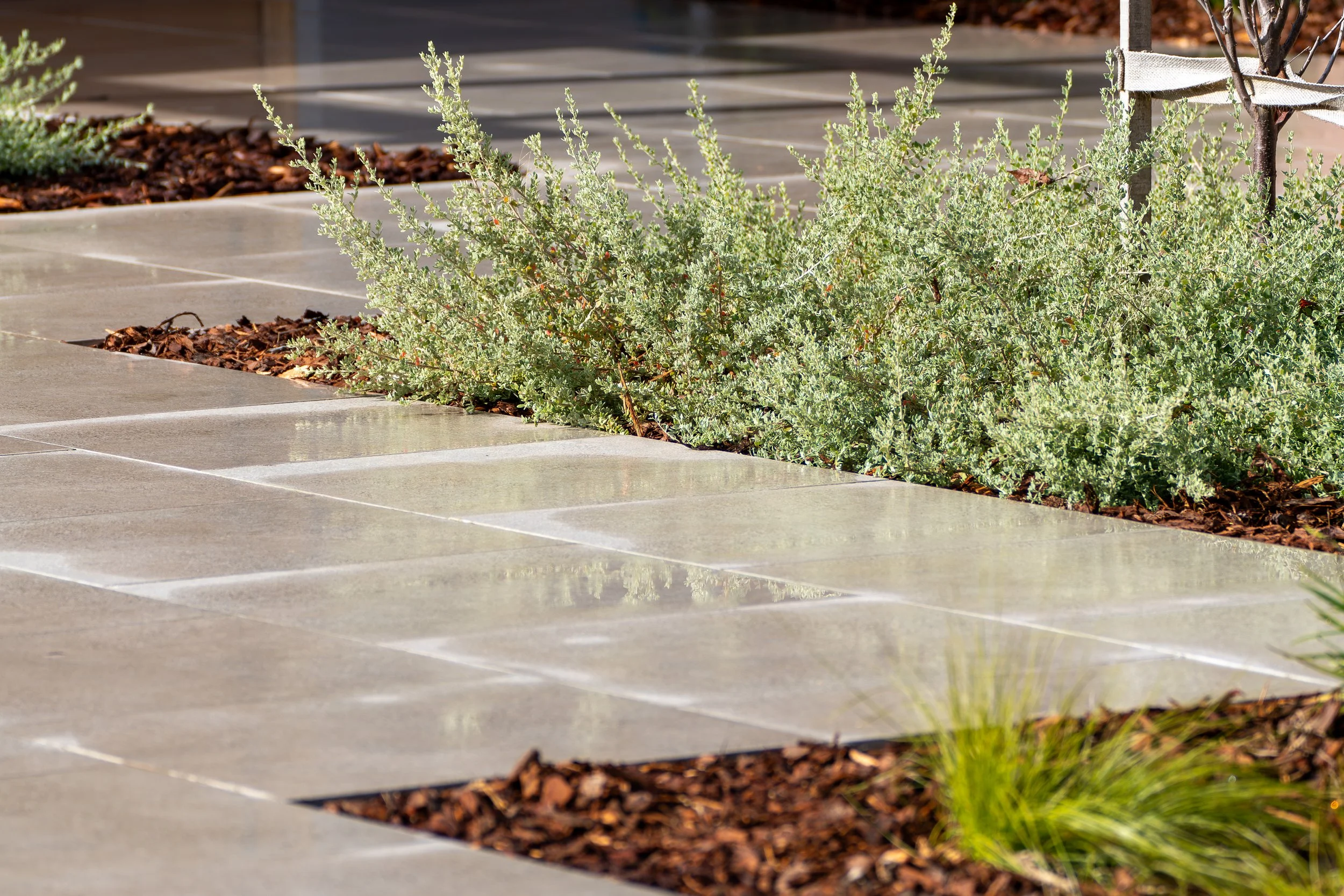LM Landscaping and Irrigation Quality Landscaping Services in Albury