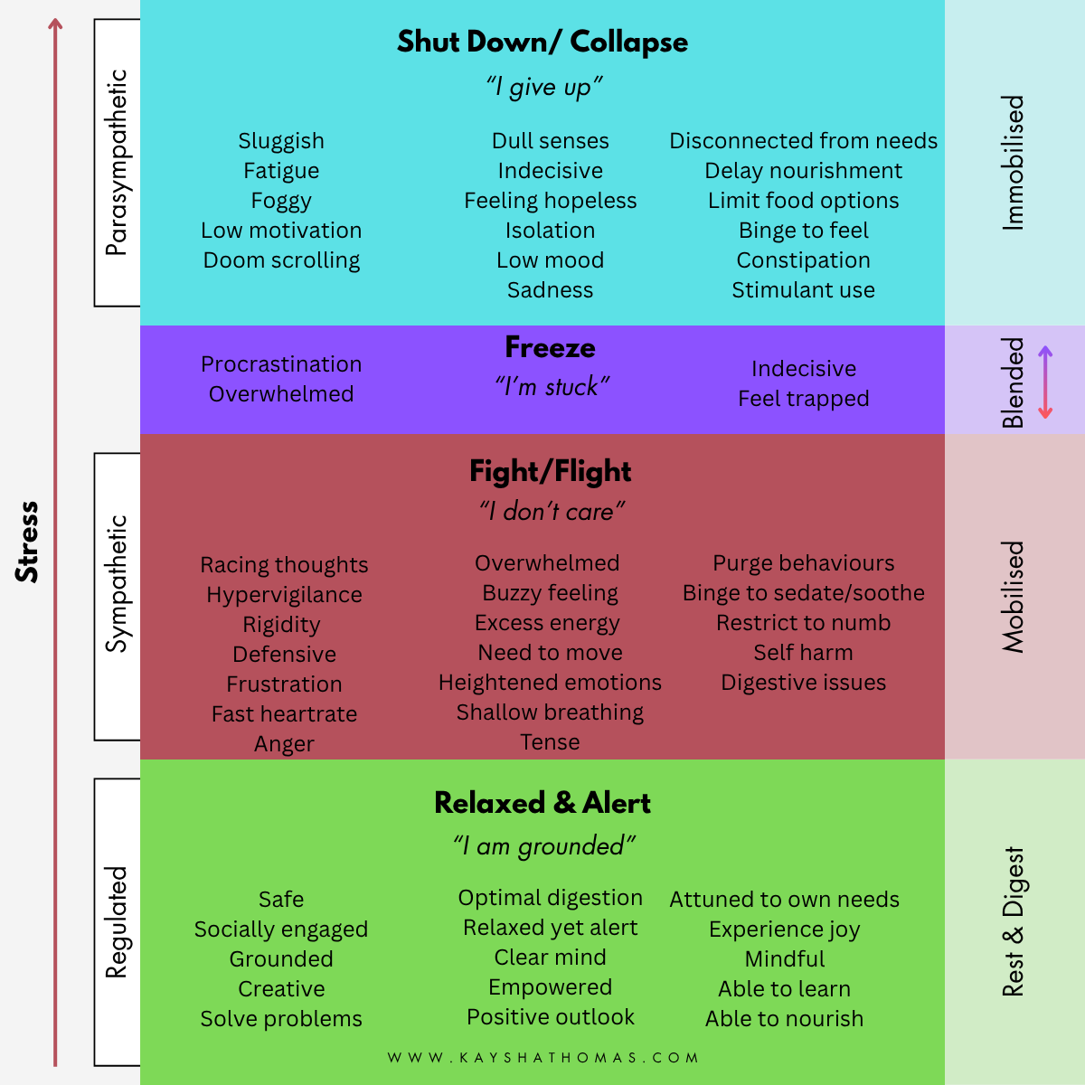 Eithing Rasing System Nervous System Dysregulation & Disordered Eating Explained — Recovery ...