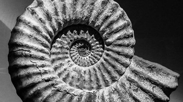 Gareth Knight Spiral Spread