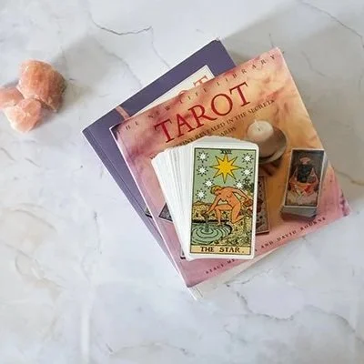 Professional Transition Application Fee