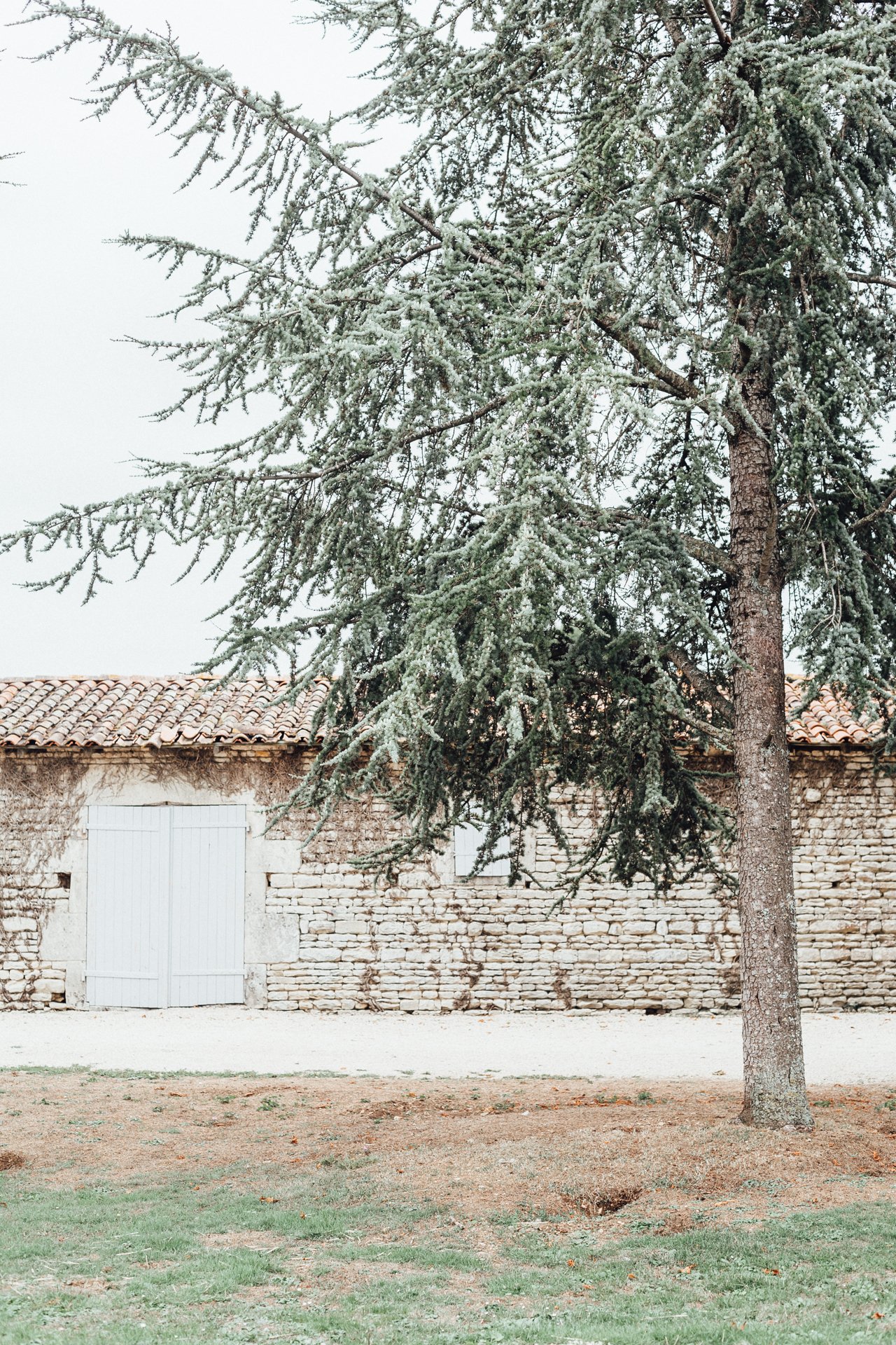 matthieu-pineau-photographe-mariage-bordeaux52.jpg