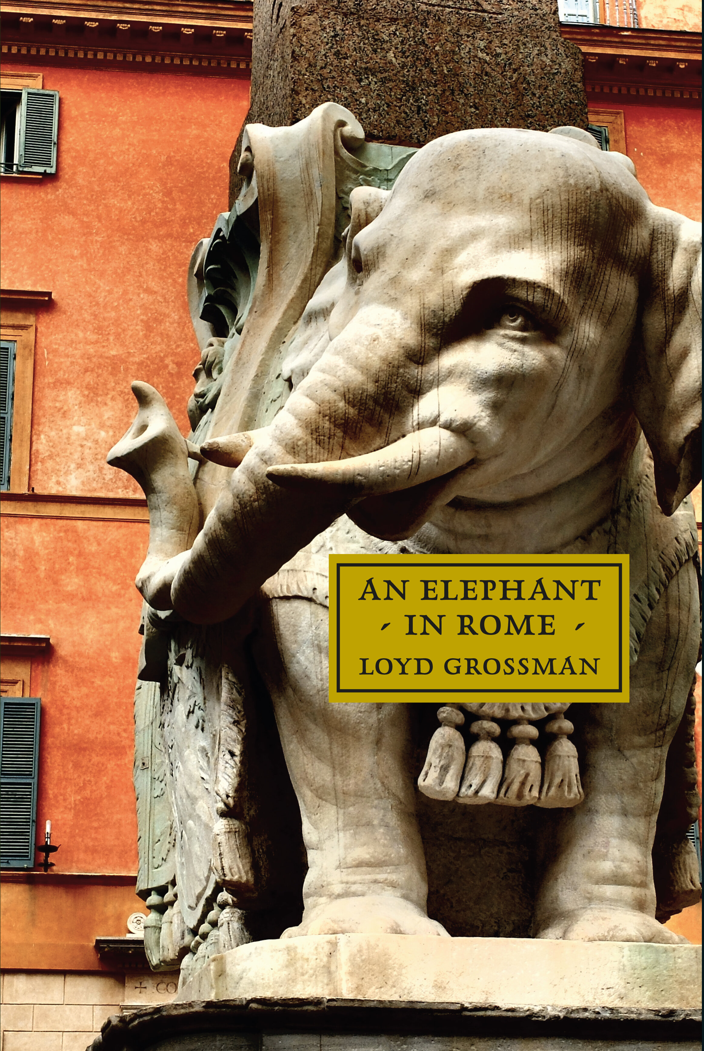 Elephant in Rome front of cover.jpg