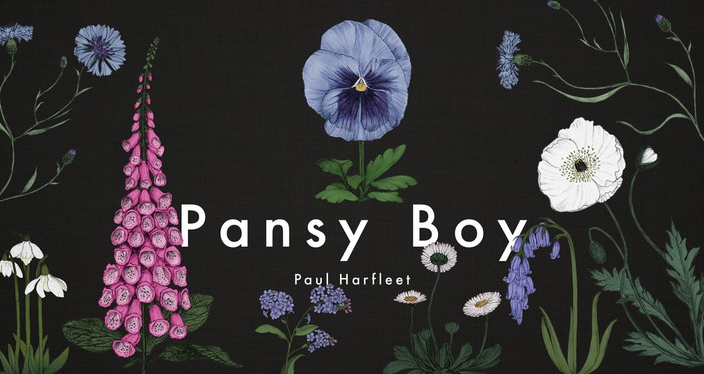 Pansy Boy.jpg