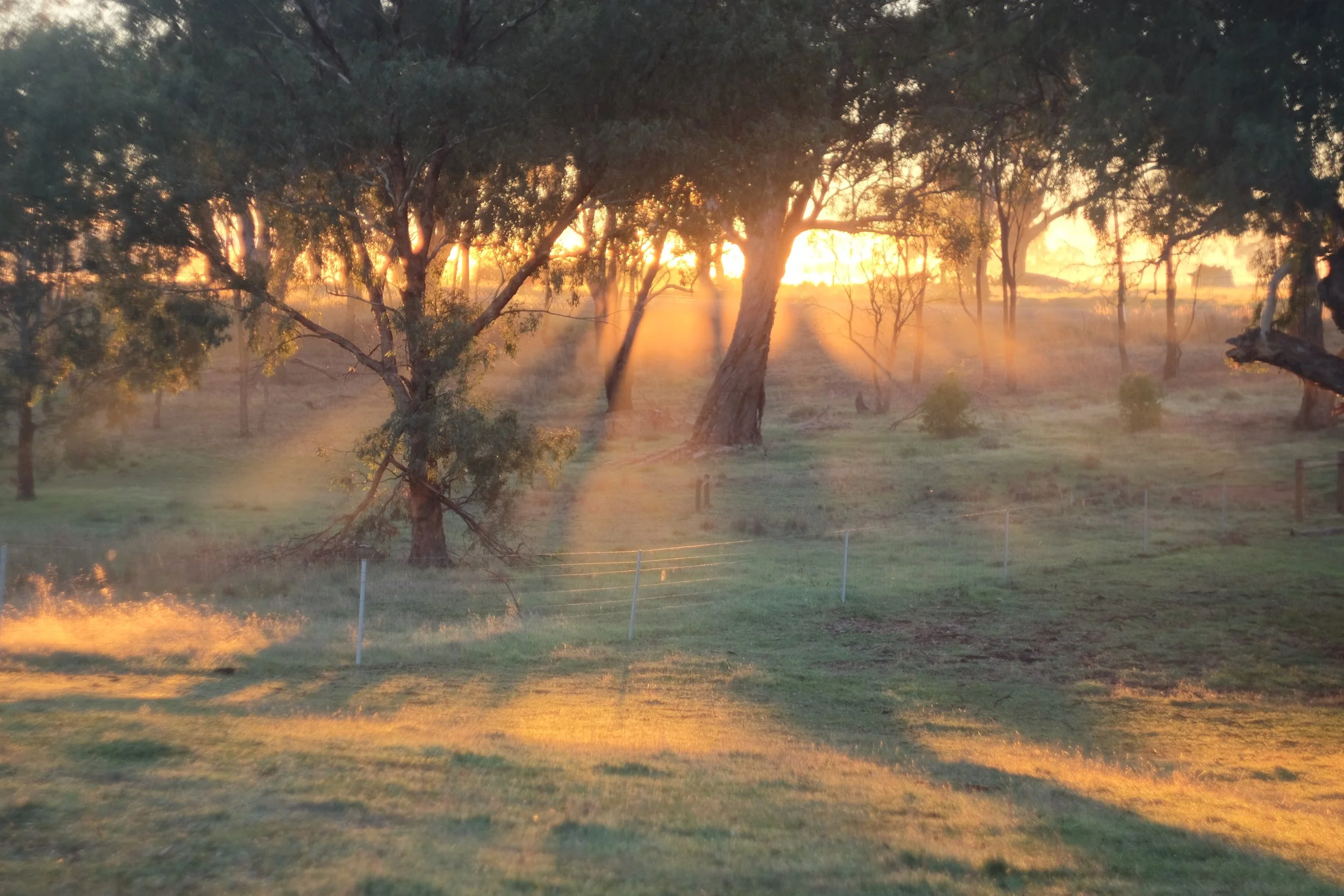 DSCF4392.JPG