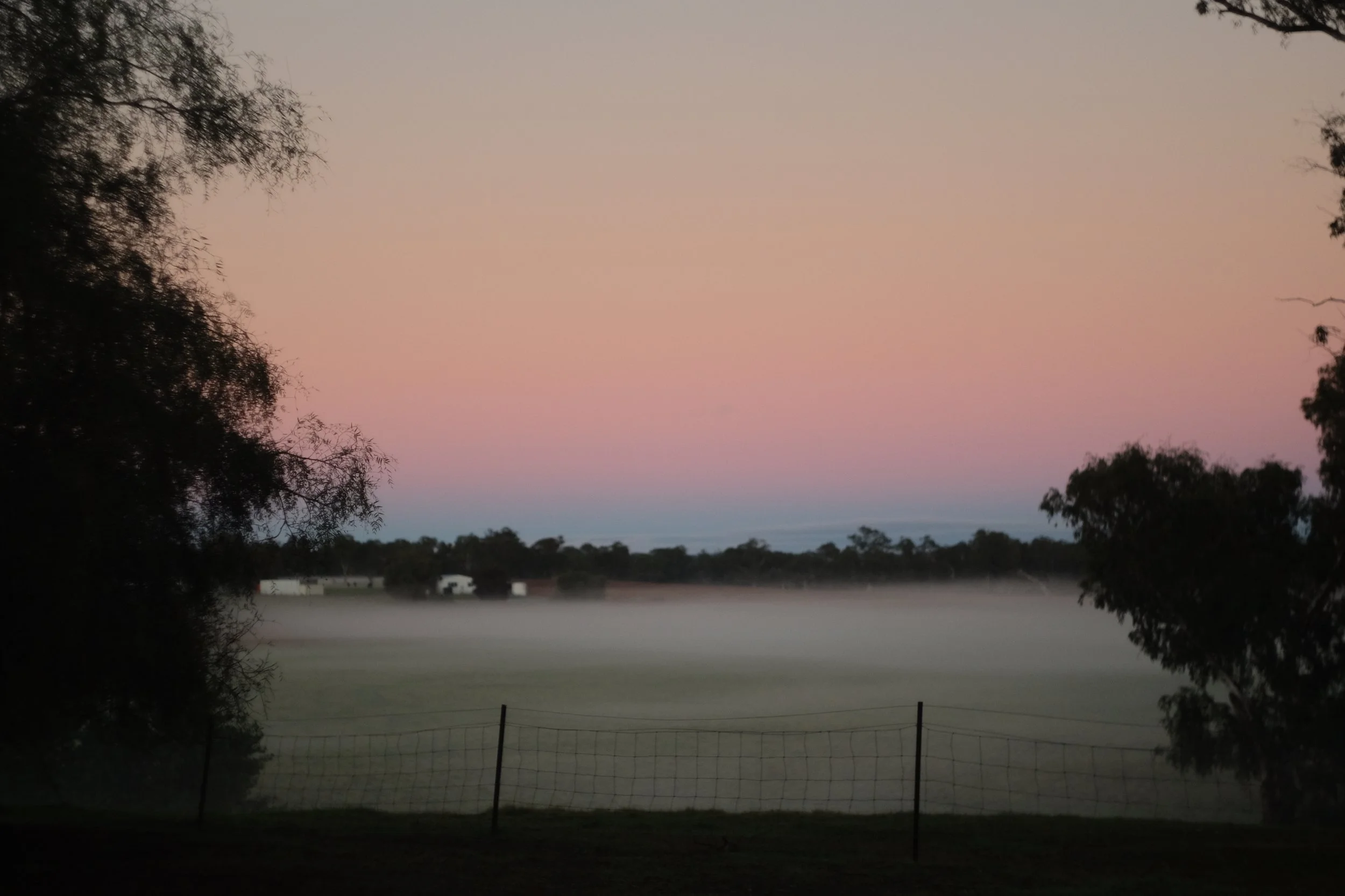 DSCF4388.JPG