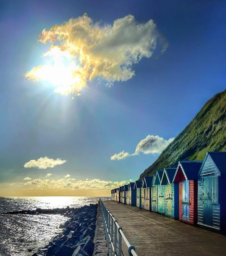 Springing Into Spring