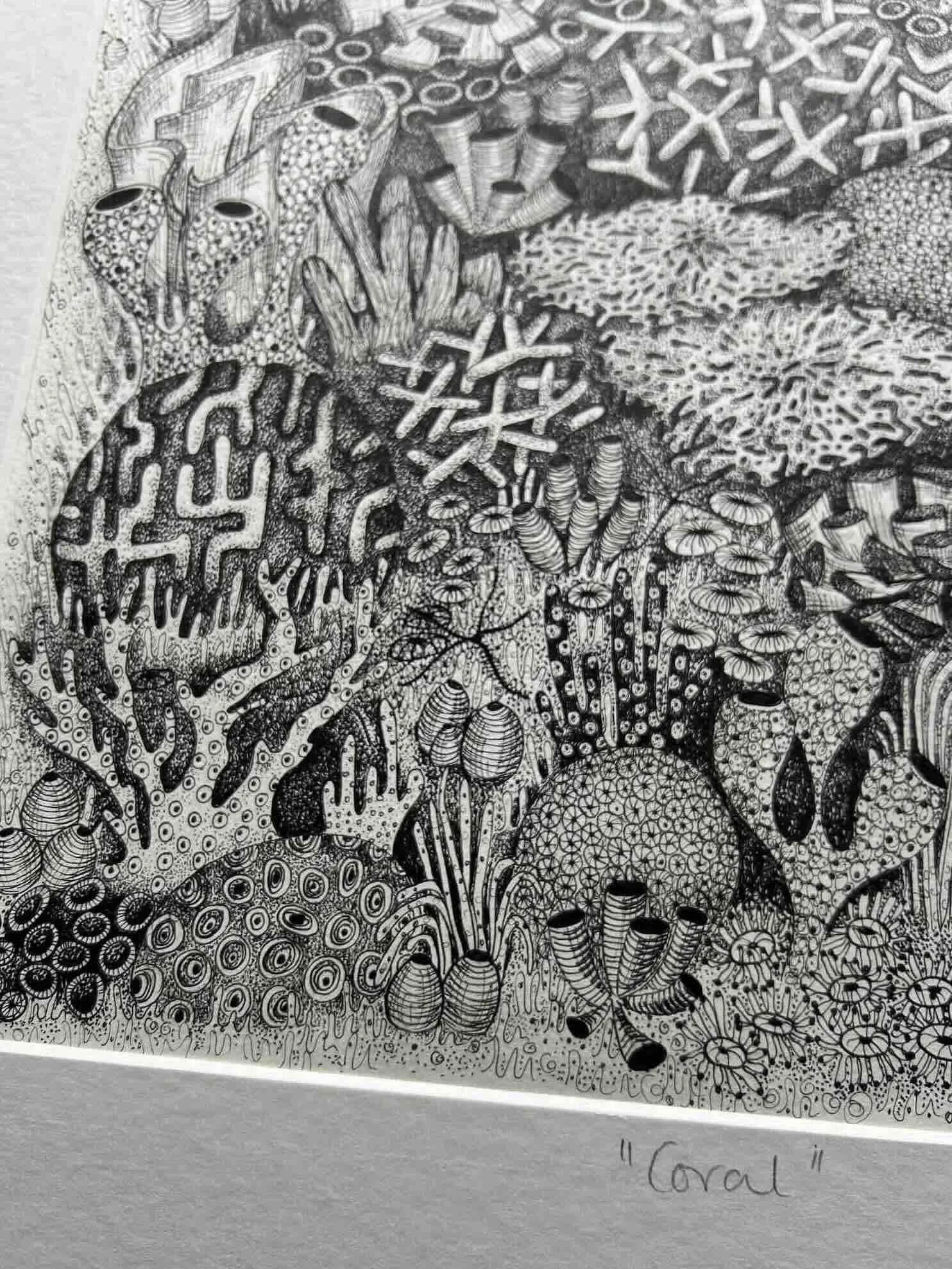 Coral p7.jpg